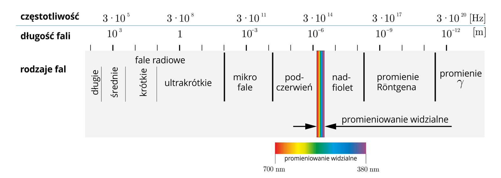 Ilustracja przedstawia spektrum fal elektromagnetycznych. Na ilustracji oś z odłożonymi częstotliwościami w hercach i odpowiadającymi im długościami fali w metrach. Pod osią podpis, jakiemu rodzajowi fali odpowiadają te wielkości. Częstotliwości to kolejno trzy razy dziesięć do potęgi piątej, trzy razy dziesięć do potęgi ósmej, trzy razy dziesięć do potęgi jedenastej, trzy razy dziesięć do potęgi czternastej, trzy razy dziesięć do potęgi siedemnastej, trzy razy dziesięć do potęgi dwudziestej. Odpowiadające im długości fali to kolejno: dziesięć do potęgi trzeciej, jeden, dziesięć do potęgi minus trzeciej, dziesięć do potęgi minus szóstej, dziesięć do potęgi minus dziewiątej, dziesięć do potęgi minus dwunastej. Rodzaje fal im odpowiadające to fale radiowe długie o długości fali poniżej kilometra, fale radiowe średnie o długości fali około kilometra, fale radiowe krótkie do około dziesięciu metrów, dalej fale radiowe ultrakrótkie do około dziesięć do minus drugiej metra, mikrofale o długości fali do około dziesięć do minus czwartej metra, podczerwień o długości fali do około dziesięć do minus szóstej metra, krótki zakres promieniowania widzialnego o długości fali od siedmiuset nanometrów do trzystu osiemdziesięciu nanometrów, nadfiolet o długości fali do około dziesięć do minus ósmej, promieniowanie Rentgena o długości fali do prawie dziesięć do minus dwunastej, promienie gamma.