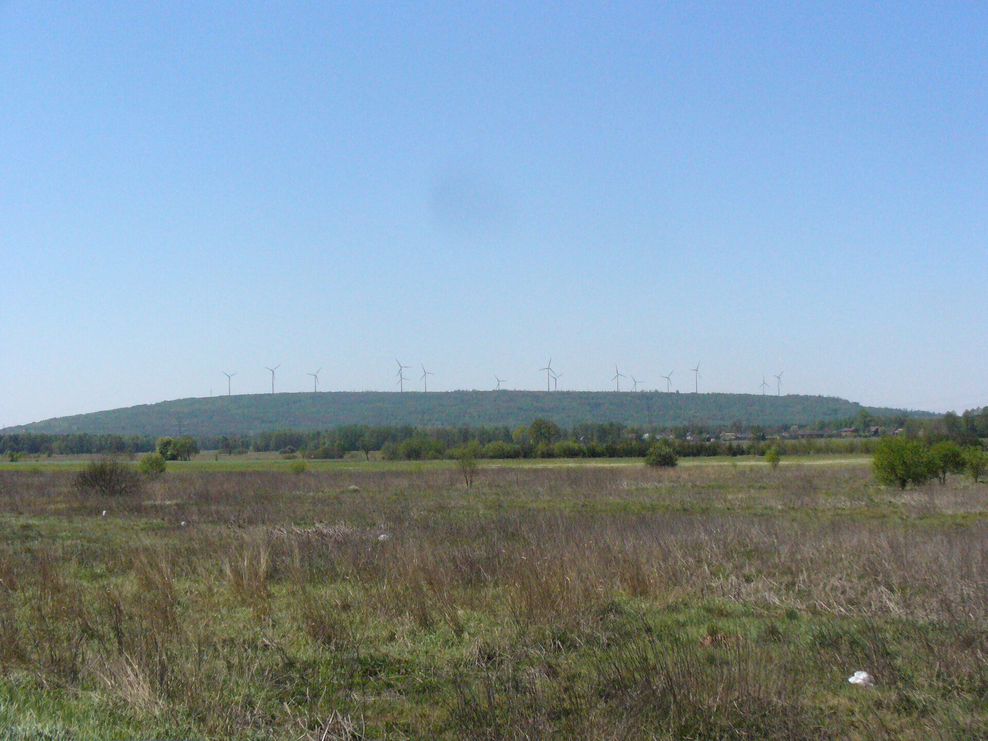 Zdjęcie przedstawia wzniesienie porośnięte drzewami. Na wzniesieniu stoją liczne elektrownie wiatrowe. Na pierwszym planie jest płaski teren porośnięty trawą i drzewami.