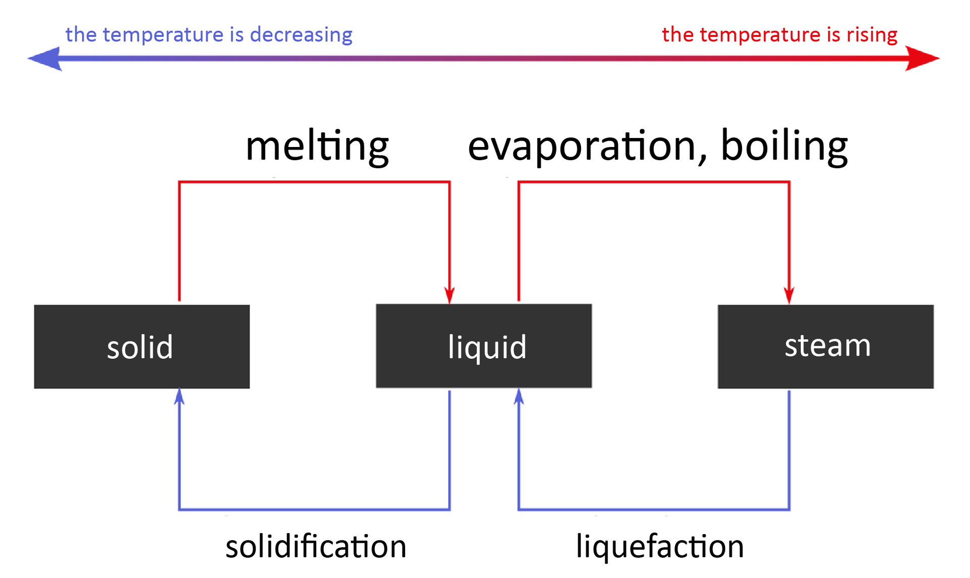 Na ilustracji zaprezentowano schemat obrazujący zmiany stanów skupienia. Są one związane ze zmianą temperatury substancji. Ciało stałe pod wpływem wzrostu temperatury topnieje i zamienia się w ciecz. Ciecz natomiast wraz ze wzrostem temperatury zaczyna wrzeć, a następnie parować, co powoduje zmianę jej stanu skupienia w stan gazowy. Kiedy temperatura spada, gaz ulega procesowi skraplania, zamieniając się w ciecz. Dalsze obniżanie temperatury doprowadzi do krzepnięcia i przemiany cieczy w ciało stałe. Na ilustracji są napisy: the temperature is decreasing, 
the temperature is rising, 
melting, 
evaporation, boiling, 
solidification, 
liquefaction, 
solid, 
liquid, 
steam
