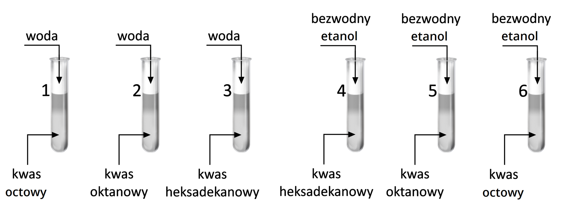 Na ilustracji jest sześć probówek. W probówce numer 1 jest kwas octowy, dodano wodę. W probówce numer 2 jest kwas oktanowy, dodano wodę. W probówce numer 3 jest kwas heksadekanowy, dodano wodę. W probówce numer 4 jest kwas heksadekanowy, dodano bezwodny etanol. W probówce numer 5 jest kwas oktanowy, dodano bezwodny etanol. W probówce numer 6 jest kwas octowy, dodano bezwodny etanol.