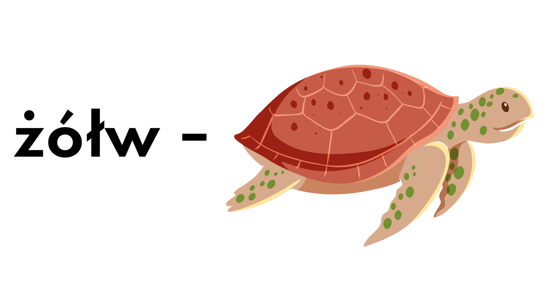 Ilustracja przedstawia żółwia. Ma brązową skorupę i jasnobrązowe ciało w zielone plamki. Po jego lewej stronie znajduje się napis: „żółw”.