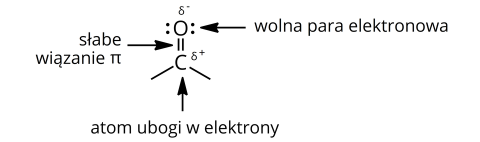 Ilustracja przedstawia wzór ogólny związku zawierającego grupę karbonylową C wiązanie podwójne O. Atom węgla jest połączony wiązaniem podwójnym z atomem tlenu i tworzy jeszcze dwa pojedyncze wiązania. Atom węgla jest atomem ubogim w elektrony, co oznaczono zapisaniem symbolu dodatniego ładunku cząstkowego delta plus. Przy atomie tlenu znajdują się dwie wolne pary elektronowe, przedstawione za pomocą dwóch par kropek. Jedno z wiązań pomiędzy atomem tlenu a atomem węgla jest słabym wiązaniem pi. Przy atomie tlenu zapisano symbol cząstkowego ładunku ujemnego delta minus.