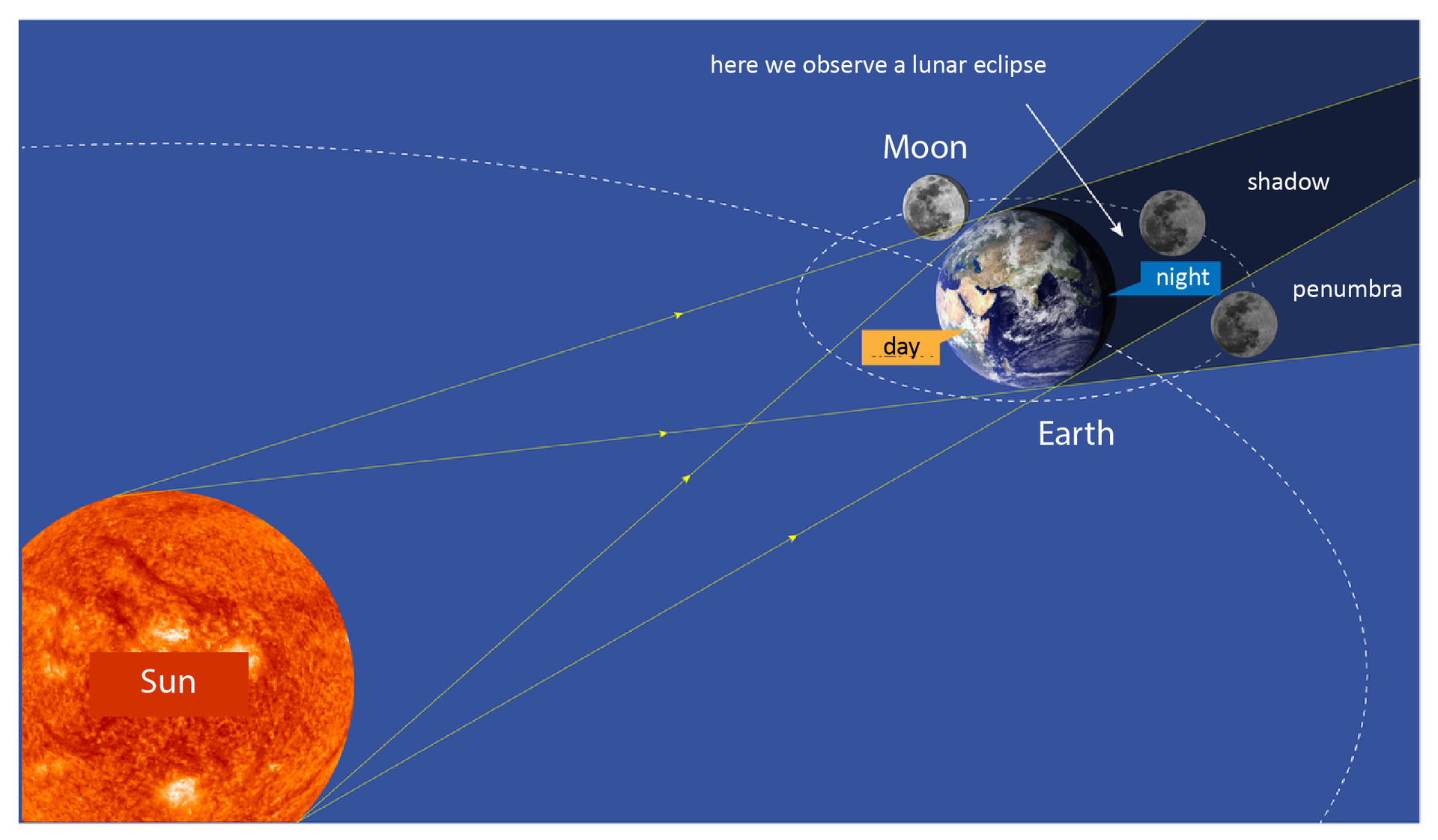 Ilustracja prezentuje mechanizm powstawania zaćmienia Księżyca. W lewym dolnym rogu ilustracji znajduje się Słońce, naprzeciwko niego, blisko prawego górnego rogu ilustracji, znajduje Ziemia, a za nią Księżyc. Przerywanymi białymi liniami zaznaczono orbitę Księżyca wokół Ziemi oraz orbitę Ziemi wokół Słońca. Promienie świetlne wysyłane przez Słońce oświetlają część Ziemi zwróconą do niego. W efekcie w tej części Ziemi jest dzień, a po przeciwnej stronie noc. Ziemia rzuca cień na Księżyc, w efekcie obserwujemy zaćmienie Księżyca. Na ilustracji są opisy: here we observe a lunar eclipse; Moon, day, night, Earth, shadow, penumbra, Sun.