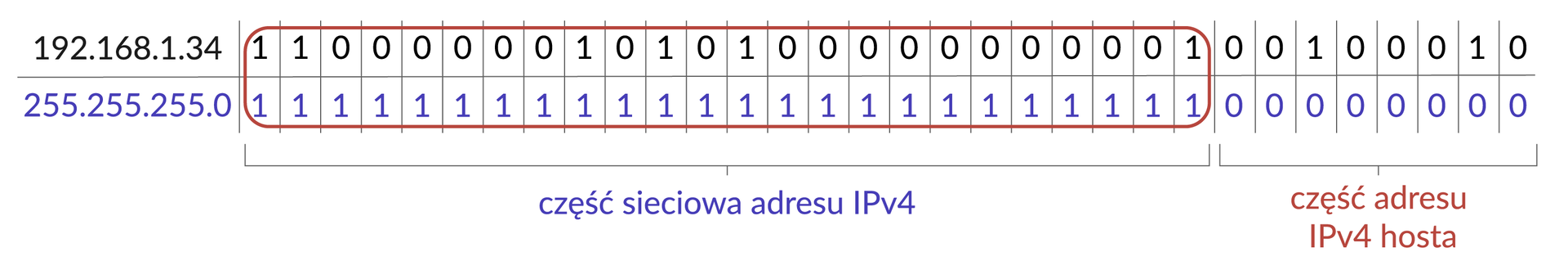 Ilustracja przedstawia tabelkę z 2 rzędami oraz 2 kolumnami. Pierwszy rząd 192.168.1.34, następnie zestaw binarny oznaczony na czerwonym owalem 110000001010100000000001 liczby nieoznaczone owalem 00100010 w kolejnym rzędzie 255.255.255.0 a następnie 24 jedynki oznaczone czerwonym owalem i 0 zer nieoznacznych. Części oznaczone owalem podpisane są napisem część sieciowa adresu IPv4 a pozostałe część adresu IPv4 hosta.