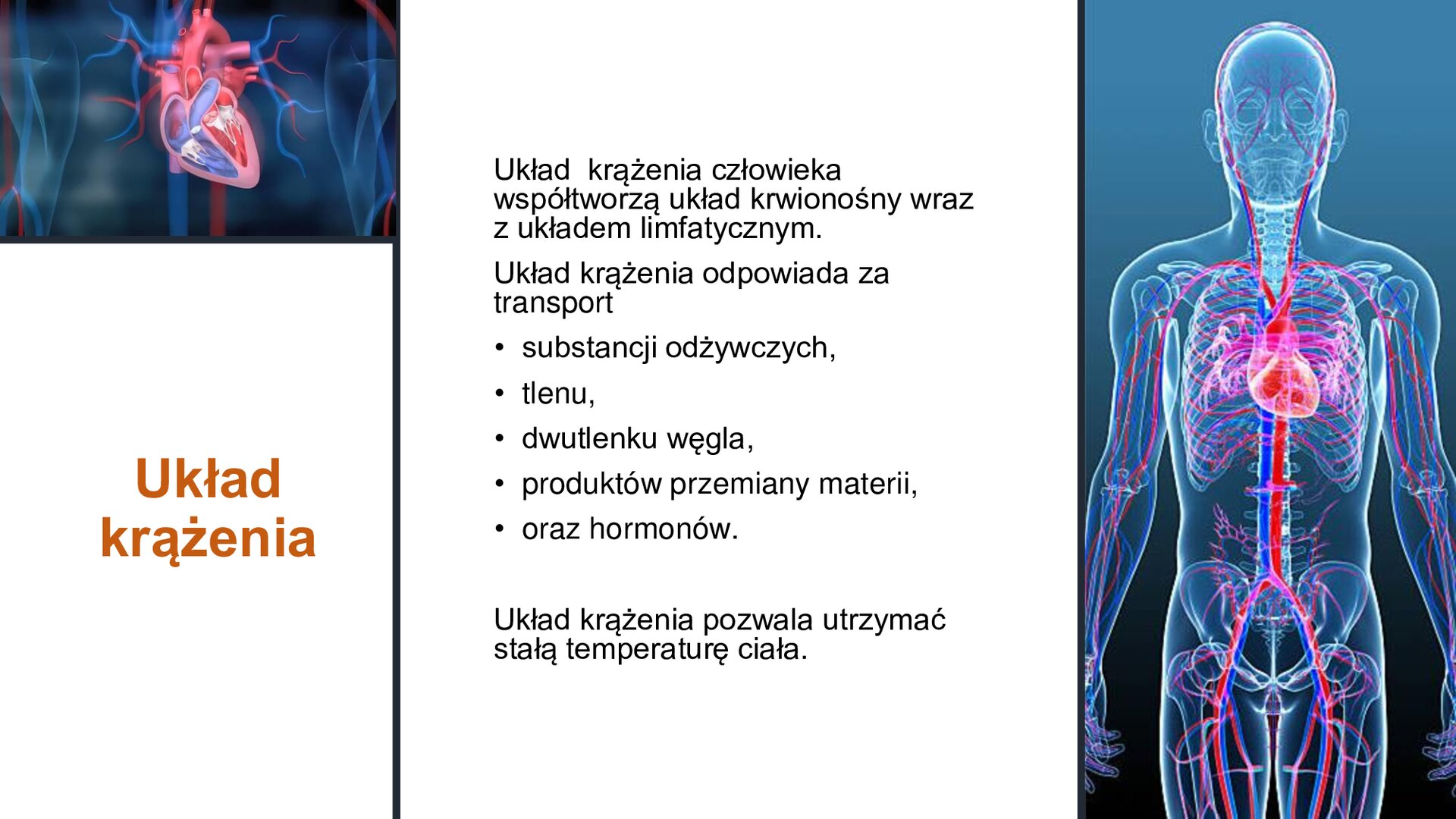 Biały slajd, na którym umieszczone zostały dwa obrazki oraz tekst. W lewym górnym rogu obrazek przedstawiający ludzkie serce. Poniżej napis: „Układ krążenia”. W centralnej części slajdu tekst: „Układ krążenia człowieka współtworzą układ krwionośny wraz z układem limfatycznym. Układ krążenia odpowiada za transport substancji odżywczych, tlenu, dwutlenku węgla, produktów przemiany materii oraz hormonów. Układ krążenia pozwala utrzymać stałą temperaturę ciała”. Z prawej strony obrazek przedstawiający sylwetkę człowieka, na której został zaznaczony układ krążenia.