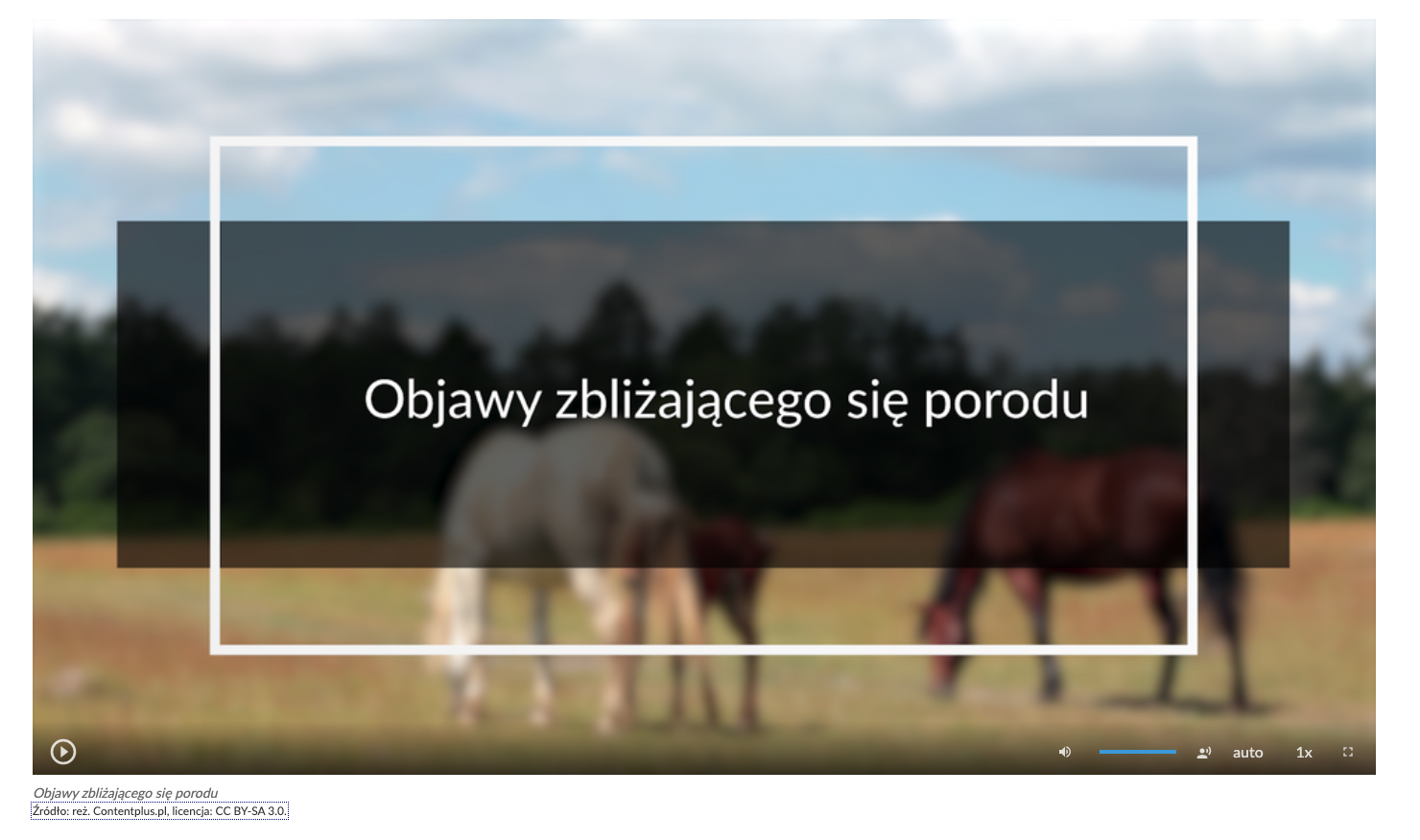 Grafika przedstawia ekran odtwarzania filmu. Tło ekranu jest czarne. Na dole znajduje się pasek z ikonami. Po lewej stronie na pasku jest przycisk play, który ma kształt koła z pisanym w niego trójkątem. Po prawej stronie na pasku jest ikona głośnika, pasek głośności, przycisk umożliwiający włączenie napisów, napis „auto”, szybkość wynosząca 1x oraz ikona trybu pełnoekranowego, która kształtem przypomina przerywany kwadrat.
