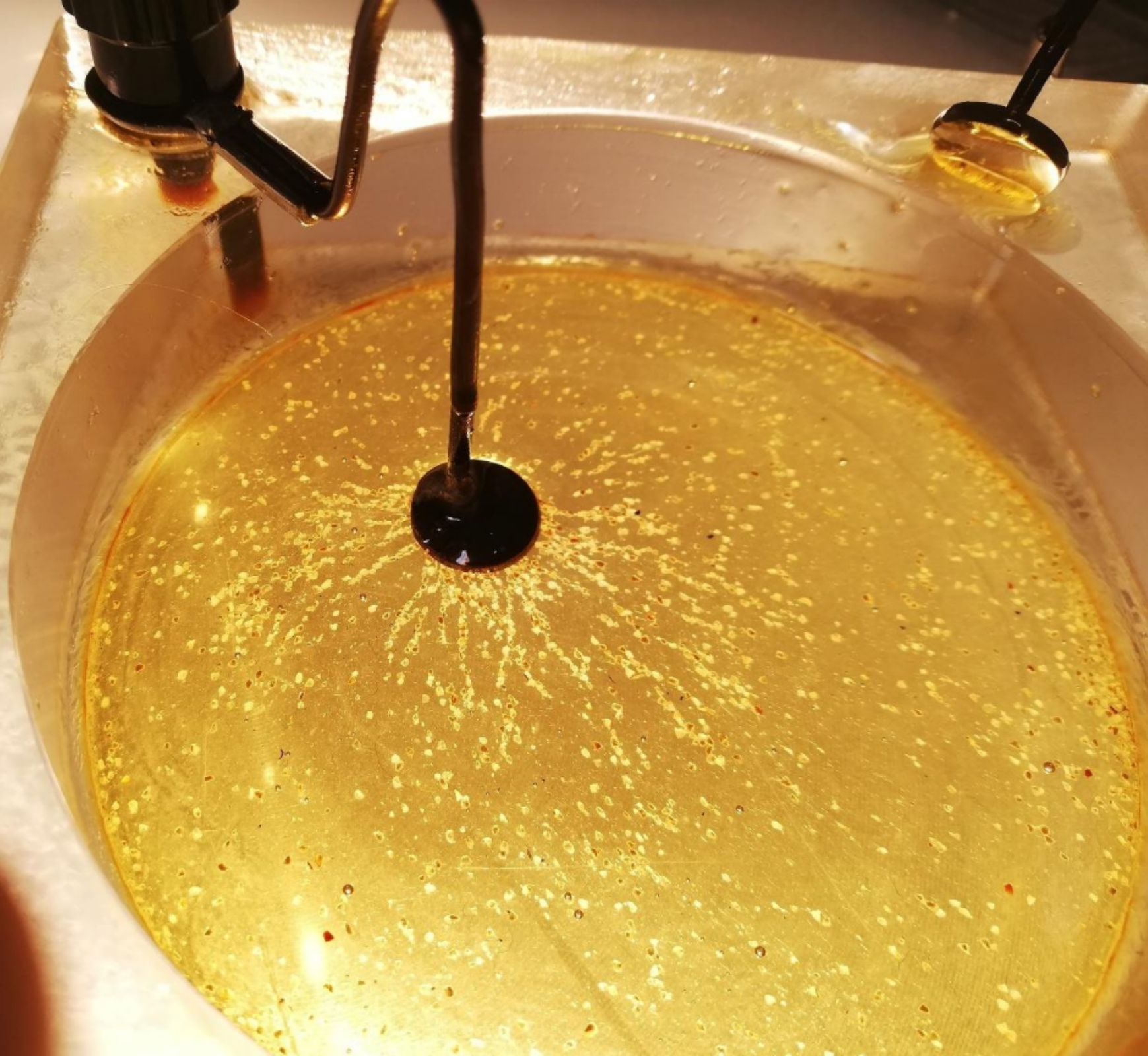 Rys. 7. Ilustracja przedstawia widok z góry na zawiesinę oleju i drobnej kaszy. W zawiesinie zanurzono naładowaną elektrodę. Ziarenka kaszy ułożyły się wzdłuż linii rozchodzących się promieniście od elektrody.