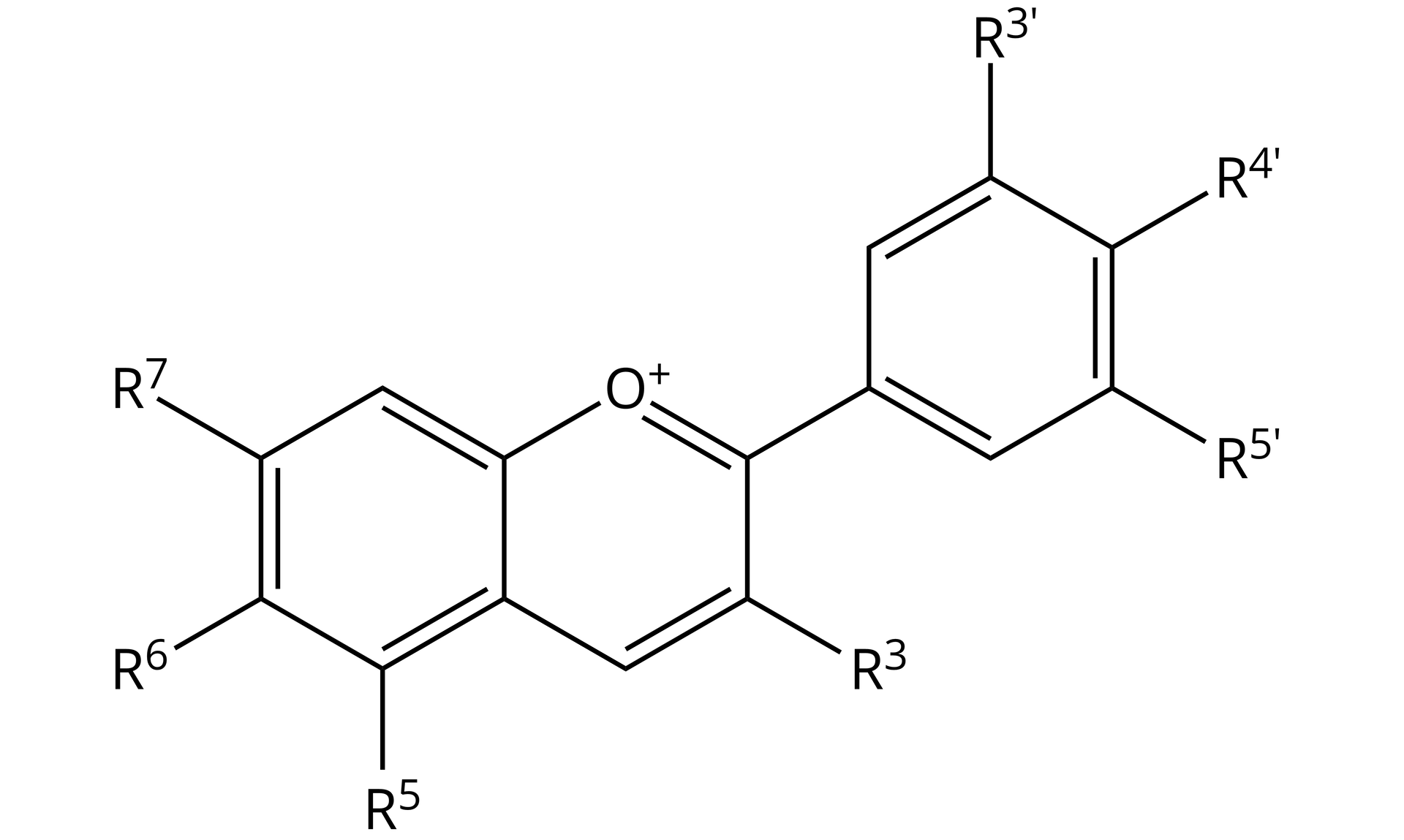 Ilustracja przedstawiająca kation flawyliowy – wzór ogólny dla struktury antocyjanidyn. Cząsteczka składa się z dwóch skondensowanych sześcioczłonowych pierścieni aromatycznych. Pierwszy zbudowany z atomów węgla, podstawiony jest grupami R5, R6 i R7. Drugi sześcioczłonowy pierścień, składający się z pięciu atomów węgla i jednego atomu tlenu, ma dwa wspólne atomy węgla z pierwszym pierścieniem, to tak zwane atomy mostkowe, przy jednym z nich znajduje się atom tlenu obdarzony ładunkiem dodatnim. Łączy się on za pomocą wiązania podwójnego z atomem węgla C2 podstawionym pierścieniem fenylowym, który to posiada trzy podstawniki, dwa pozycjach meta, odpowiednio R3' oraz R5', a także podstawnik w pozycji orto R4'. Wspomniany pierścień posiadający w swej strukturze atom tlenu, jest również podstawiony w pozycji trzeciej C3 podstawnikiem R3.