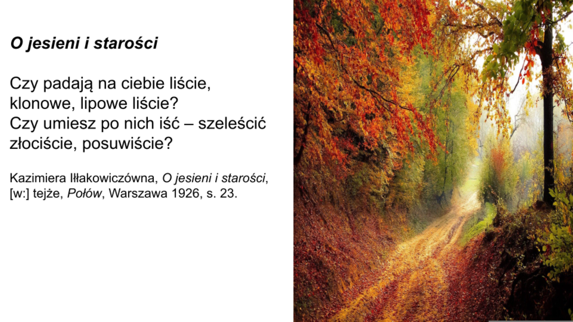 Slajd przedstawia kolorową fotografię po prawej stronie, która ukazuje jesienny leśny pejzaż. Pośrodku fotografii widoczna jest szeroka ścieżka, na której leżą jesienne liście. Po lewej stronie slajdu na białym tle zamieszczony jest fragment wiersza „O jesieni i starości” Kazimiery Iłłakowiczówny: Czy padają na ciebie liście, klonowe, lipowe liście? Czy umiesz po nich iść – szeleścić złociście, posuwiście?