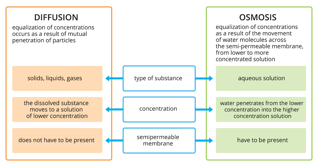Schemat przedstawia omówienie procesów dyfuzji i osmozy. Dyfuzja, diffusion, equalization of concentrations occurs are a result of mutual penetration of particles. Type of substances: solids, liquids, gases. Concentration: the dissolved substance moves to a solution of lower concentration. Semipermeable membrane: does not have to be present. Osmoza, osmosis, equalization of the concentrations as a result of the movement of water molecules across the semi-permeable membrane, from lower to more concentrated solution. Type of substance: aqueous solution. Concentration: water penetrates from the lower concentration into the higher concentration solution. Semipermeable membrane: have to be present.