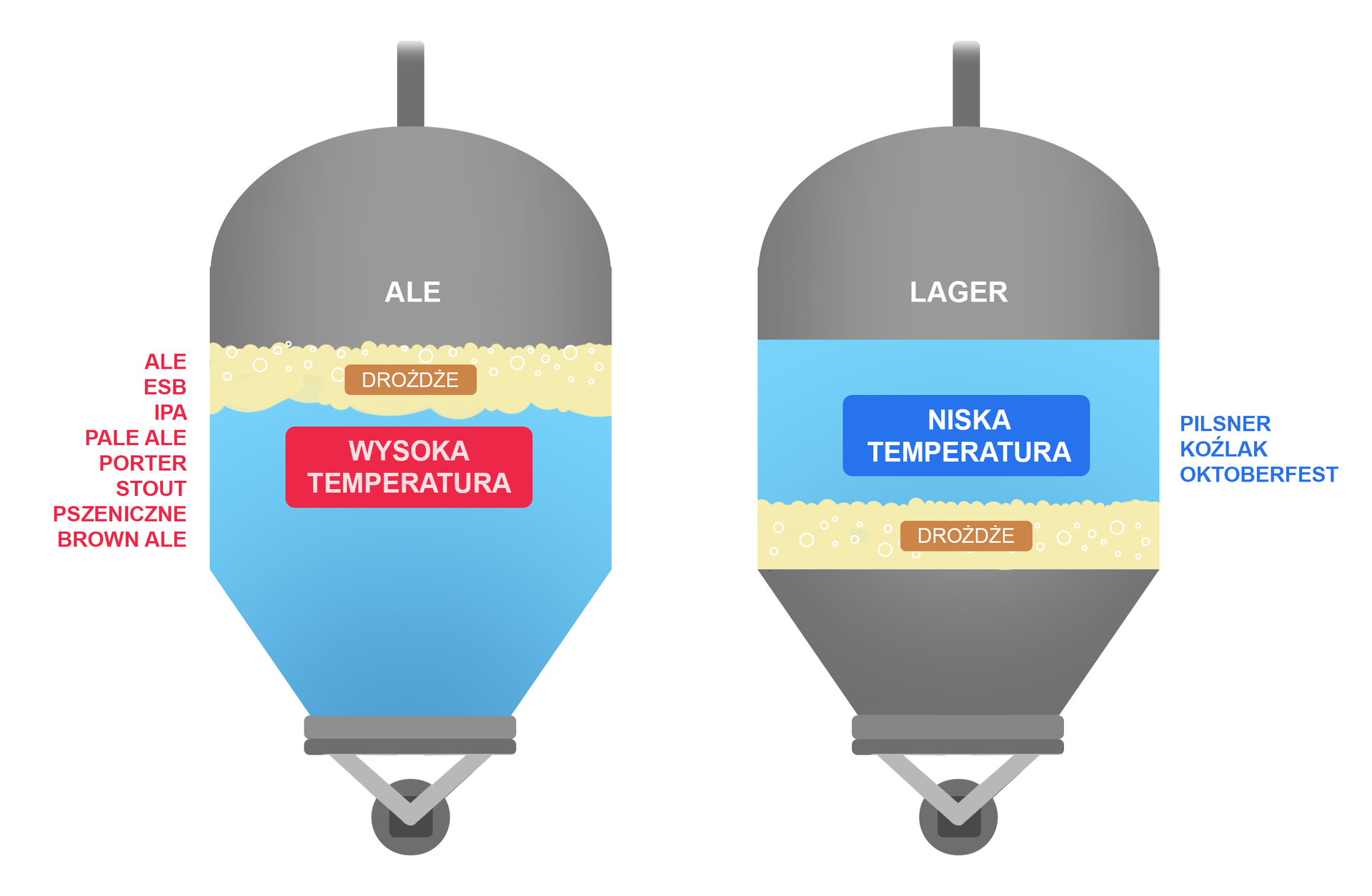 Na rysunku schematy fermentacji górnej i dolnej.  Pierwszy obrazek przedstawia fermentację górną, dzięki której powstaje piwo ALE, ESB, IPA, PALE ALE, PORTER, STOUT, PSZENICZNE oraz BROWN ALE. Beczka zakończona na górze przewodem, od dołu ma niebieski kolor z napisem WYSOKA TEMPERATURA, kolejno kremowa warstwa bąbelków z napisem DROŻDŻE i szary kolor z napisem ALE.  Na drugim obrazku przedstawiona jest fermentacja górna. W tym procesie powstaje piwo LAGER, PILSNER, KOŹLAK i OKTOBERFEST. Na schemacie taka sama beczka, ale na jej dnie narysowana jest kremowa warstwa bąbelków z napisem DROŻDŻE. Powyżej niebieskie pole podpisane NISKA TEMPERATURA i nad nią napis LAGER. 