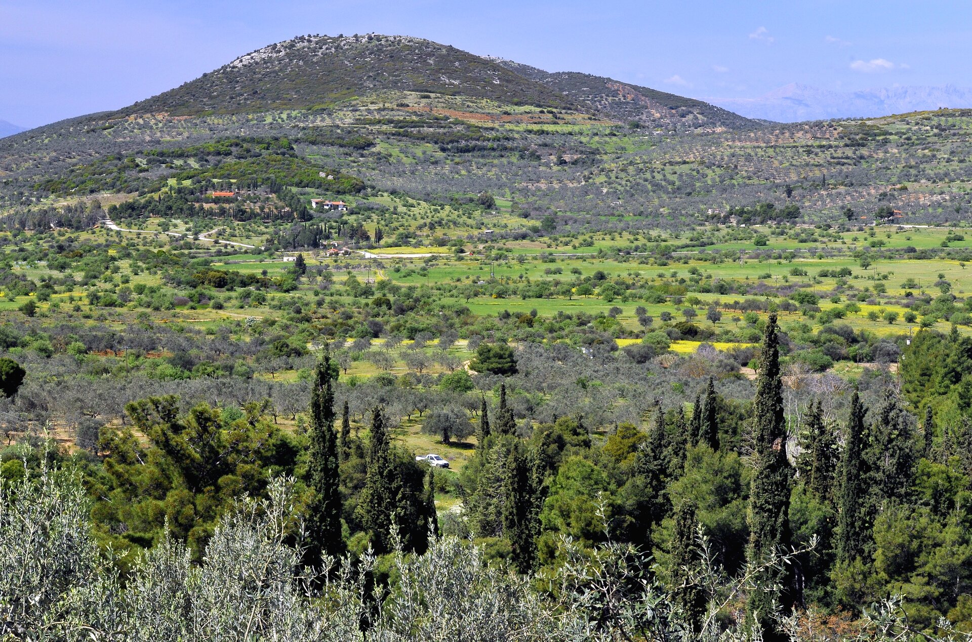 Fotografia przedstawiająca na pierwszym planie zielony, lekko pofałdowany teren, porośnięty drzewami i krzewami o grubych liściach. Gdzieniegdzie pojedyncze budynki mieszkalne. Na drugim planie wysoka góra o łagodnych zboczach pokrytych, podobnie jak teren przed nią, drzewami i krzewami. W wyższych partiach gołe, szare skały.
