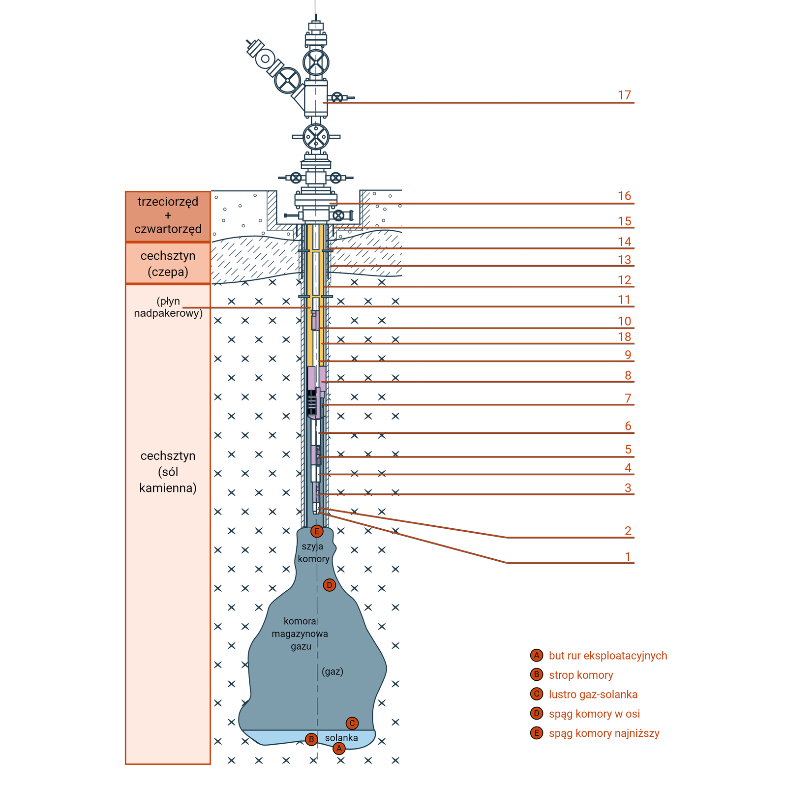 Schemat uzbrojenia wgłębnego odwiertu w podziemnym magazynie gazu ziemnego, wykonanym w złożu soli:   1 – but części podpakerowej,  2, 4 – rura grubościenna,   3 – łącznik posadowy / wgłębny zawór bezpieczeństwa,  5 – łącznik posadowy,  6 – rura grubościenna,  7 – paker,  8 – zamek J,  9, 11 – rury wydobywcze,  10 – łącznik teleskopowy,  12 – kolumna rur eksploatacyjnych,  13 – kamień cementowy,  14 – kolumna rur prowadnikowa,  15 – kolumna rur wstępna,  16 – więźba rurowa,  17 – głowica eksploatacyjna,  18 – płyn nadpakerowy. 