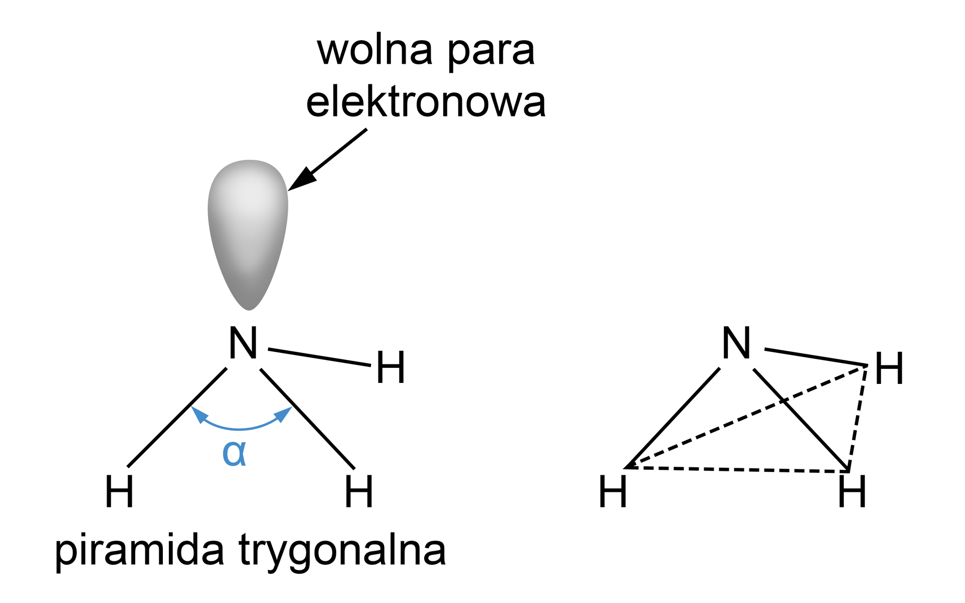 Grafika przedstawiająca kształt cząsteczki amoniaku. Atom azotu z wolną parą elektronów łączy się na dole z trzema atomami wodoru, tworząc piramidę trygonalną. Obok jest wzór amoniaku przypominający kształt latawca.