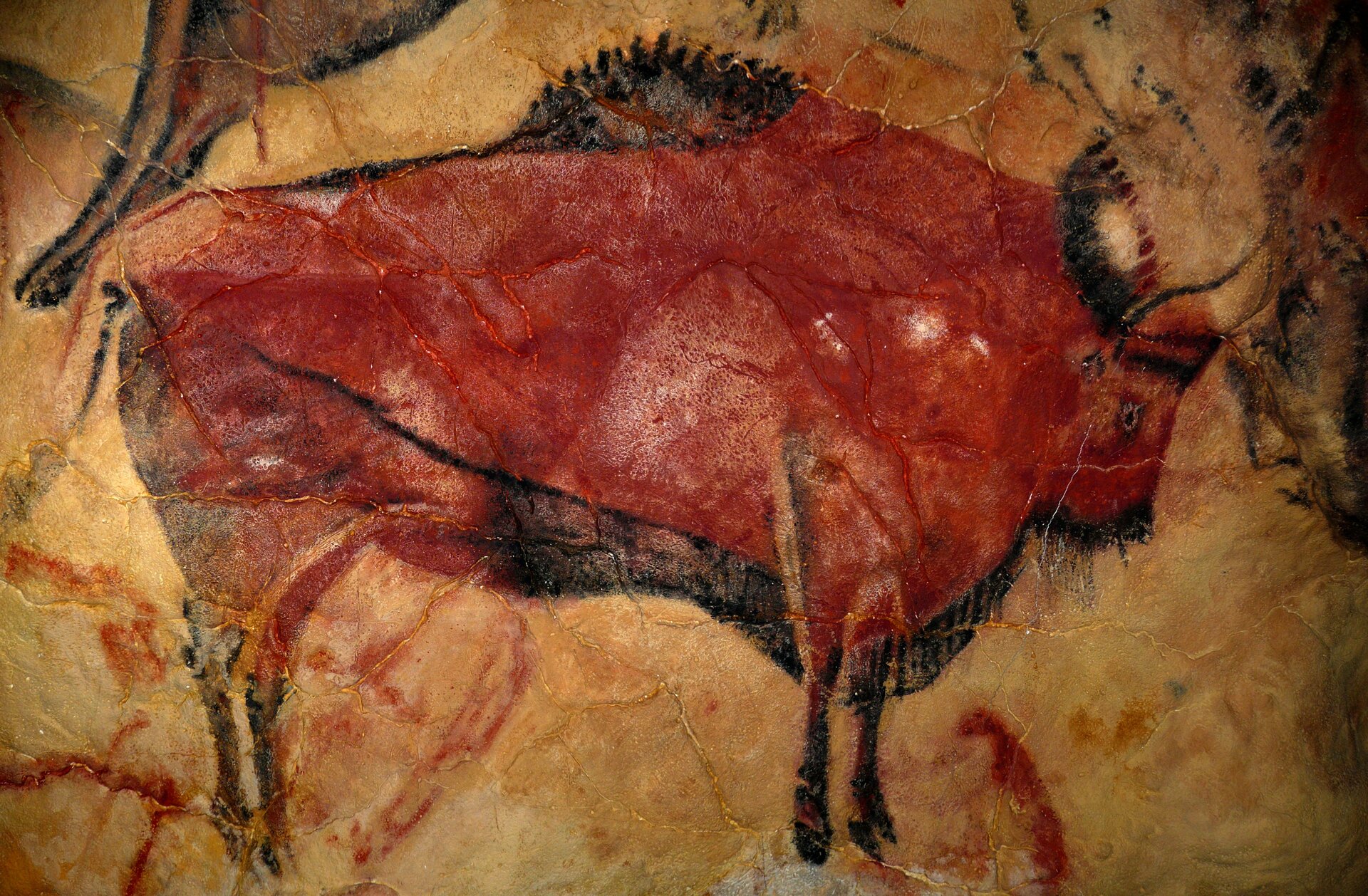 Ilustracja przedstawia dużego bizona z profilu. Jest on namalowany czerwoną farbą, a jego grzywa oraz włosy znajdujące się u dołu tułowia są czarne. Tło za bizonem żółte.