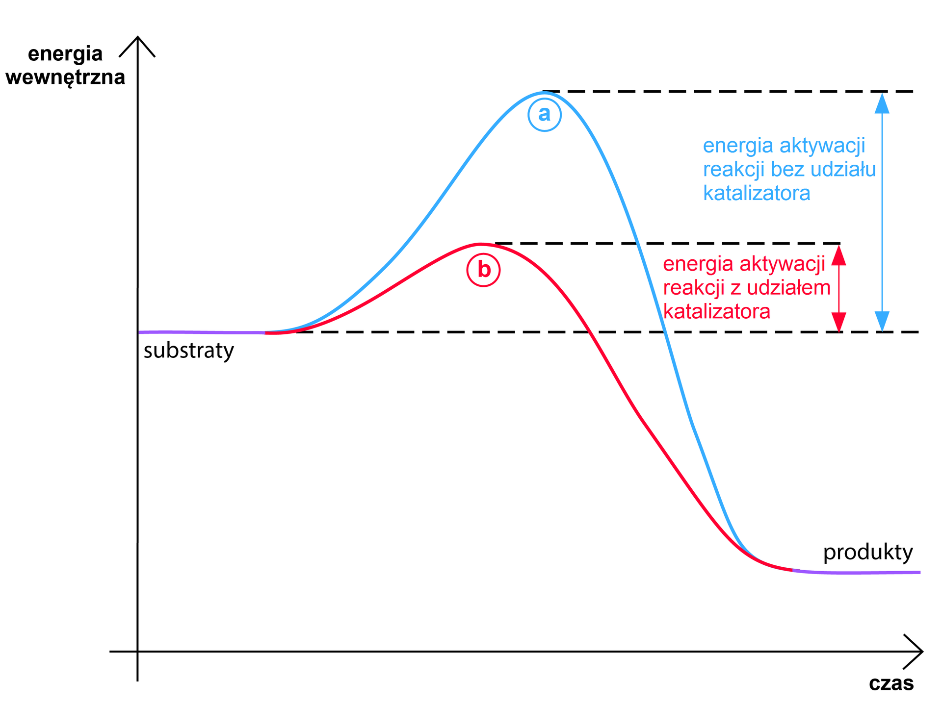 Wykres zależności energii wewnętrznej od czasu dla reakcji egzoenergetycznej z udziałem oraz bez udziału katalizatora. Na osi poziomej czas, zaś na osi pionowej energia wewnętrzna. Zaznaczono energię substratów, od której poprowadzono przerywaną poziomą linię przez cały wykres. Wykres bez udziału katalizatora ma początek przy wartości równej energii substratów, następnie rośnie, co odpowiada energii aktywacji, osiąga maksimum i maleje, aż do osiągnięcia energii produktów, mniejszej od energii substratów. Wykres z udziałem katalizatora ma początek przy wartości równej energii substratów, następnie rośnie, co odpowiada energii aktywacji, osiąga maksimum, które odpowiada niższej energii niż maksimum przy reakcji zachodzącej bez udziału katalizatora. Po osiągnięciu maksimum funkcja maleje aż do osiągnięcia energii produktów, mniejszej od energii substratów.