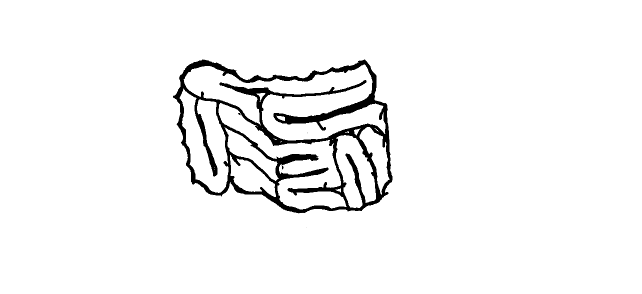 Zarysowany czarną kreską schemat jelita cienkiego.