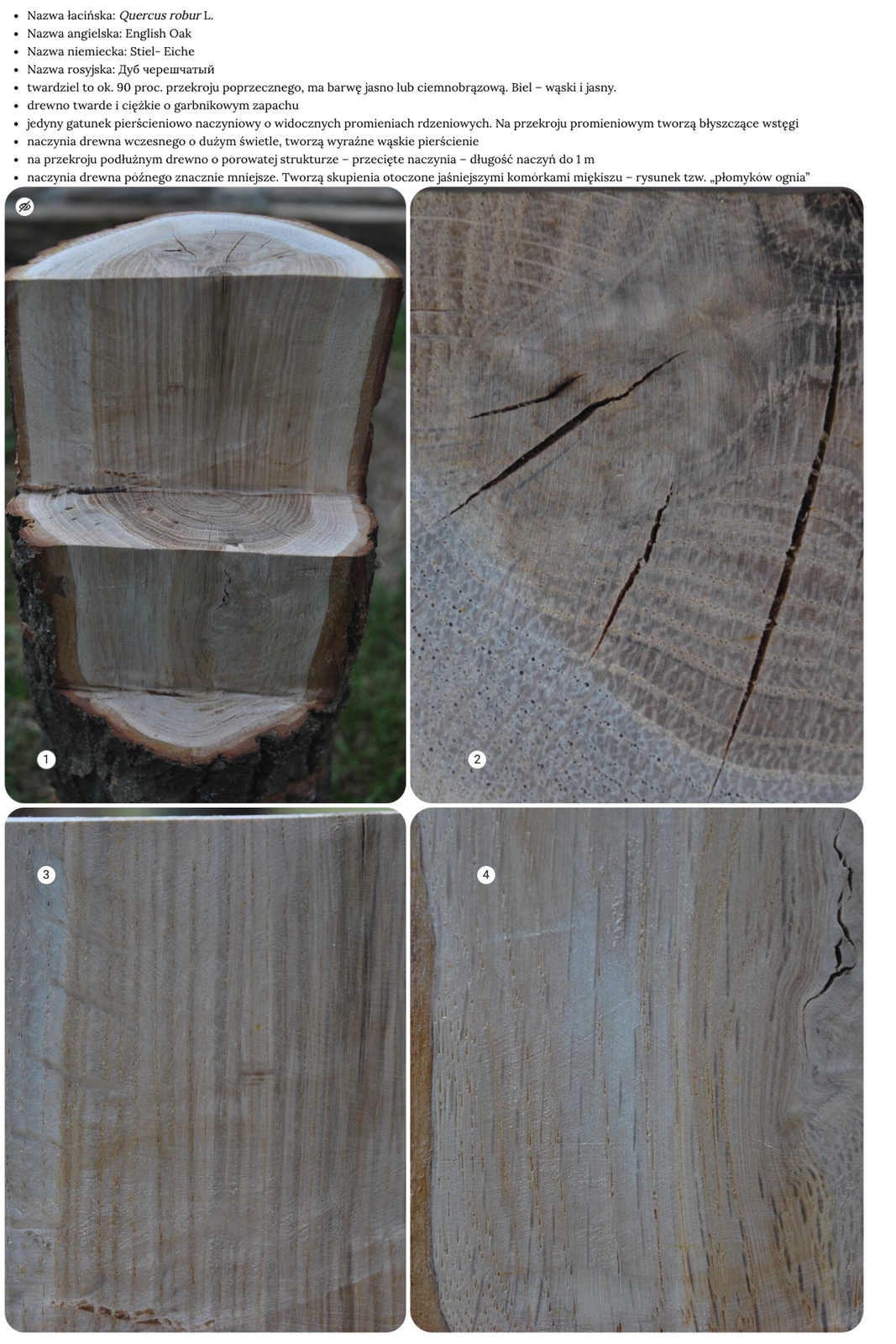 Grafika przedstawia przykładowy widok grafiki interaktywnej. Widoczne są zdjęcia charakteryzujące dany gatunek wraz z opisem uzupełniającym. Na każdej ilustracji znajduje się punkt interaktywny.