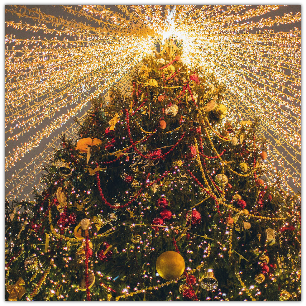 Zdjęcie przedstawia rozświetloną, bogato przystrojoną choinkę. 