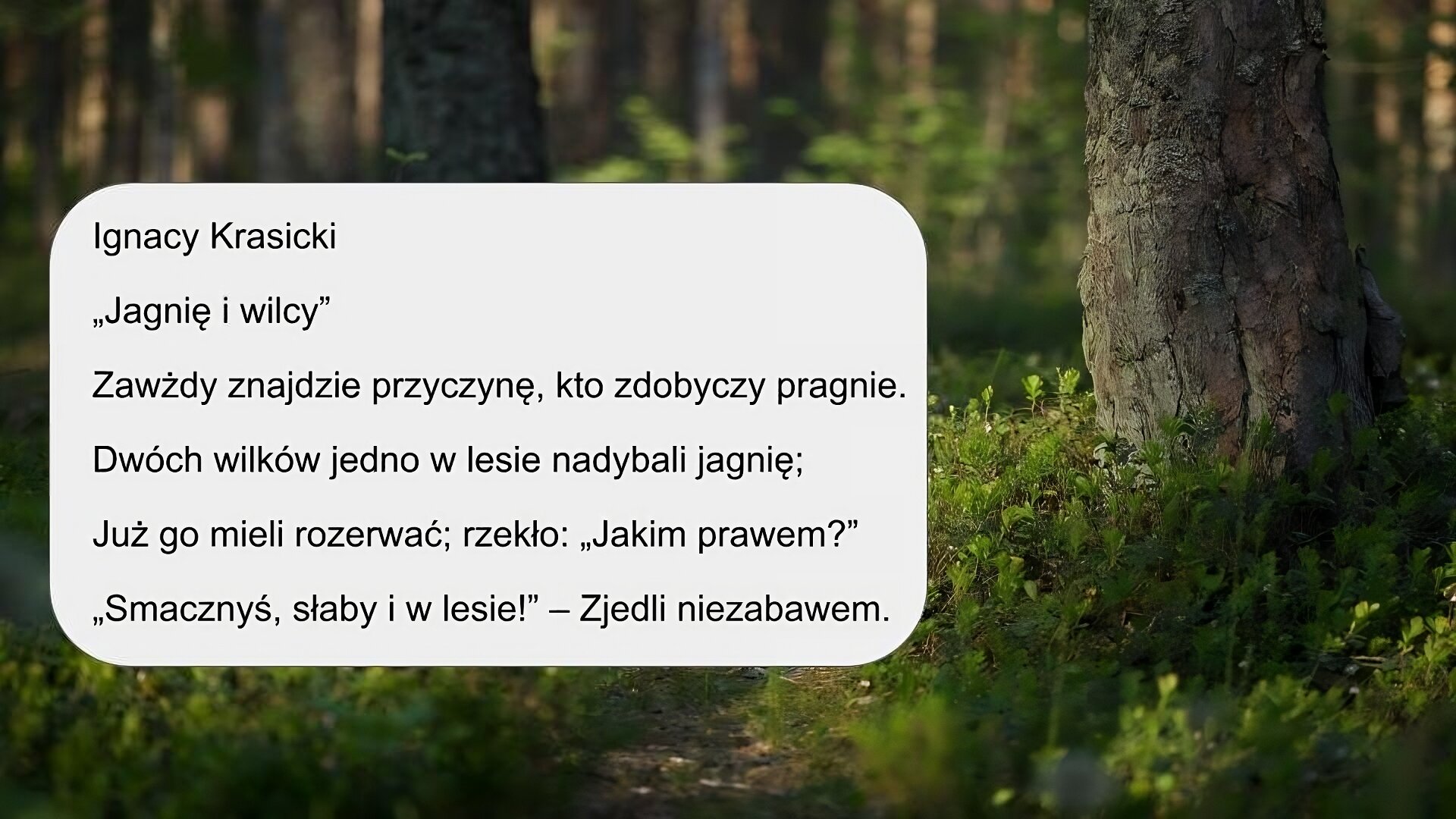 Zdjęcie przedstawia zielone, niskie trawy i krzewy, które porastają ziemię w lesie. W tle widoczne są także fragmenty brązowych drzew. Na zdjęciu pojawia się tekst: „Ignacy Krasicki, Jagnię i wilcy. Zawżdy znajdzie przyczynę, kto zdobyczy pragnie. Dwóch wilków jedno w lesie nadybali jagnię; Już go mieli rozerwać; rzekło: „Jakim prawem?” „Smacznyś, słaby i w lesie!” – Zjedli niezabawem”.