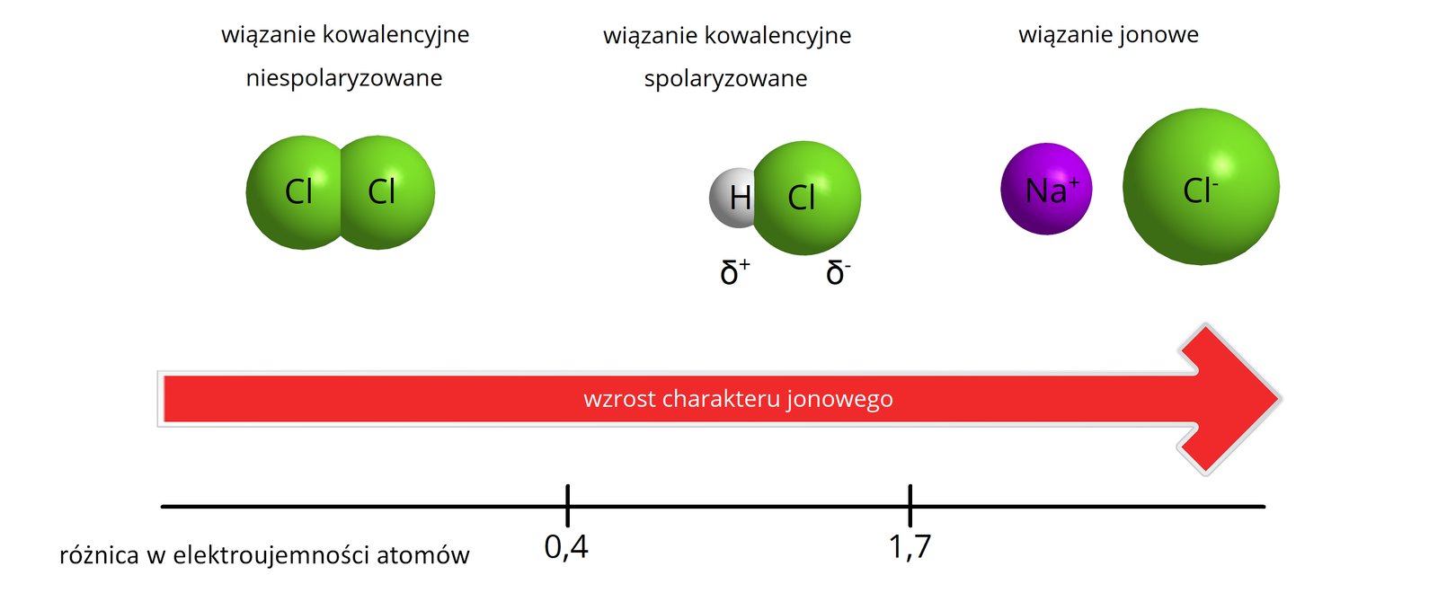 Ilustracja przedstawia rodzaje wiązań chemicznych oraz jak zmienia się charakter jonowy. Na obrazku znajdują się wymienione od lewej do prawej: wiązanie kowalencyjne niespolaryzowane, wiązanie kowalencyjne spolaryzowane oraz wiązanie jonowe. Pod każdą nazwą podano przykład związku, w którym występuje to wiązanie. Cząsteczka Cl2 – wiązanie kowalencyjne niespolaryzowane. Na obrazku są dwie zlepione zielone kule, każda odzwierciedla atom chloru. HCl – wiązanie kowalencyjne spolaryzowane. Na obrazku są dwie zlepione kule, różnią się rozmiarem i kolorem. Kula H jest mniejsza i szara, dodatkowo oznaczona: sigma plus. Kula Cl jest większa i zielona, dodatkowo oznaczona: sigma minus. Na+Cl− - wiązanie jonowe. Na obrazku dwie kule znajdujące się w pewnej odległości od siebie. Kula oznaczona N a + jest mniejsza i fioletowa. Kula Cl- jest większa i zielona. Pod rysunkami znajduje się strzałka w prawo, opisana: wzrost charakteru jonowego. Na dole znajduje się oznaczenie różnicy elektroujemności atomów. W przypadku chloru wynosi ona zero, kwasu chlorowodorowego 0,4. Różnica elektroujemności atomów chlorku sodu wynosi 1,7.