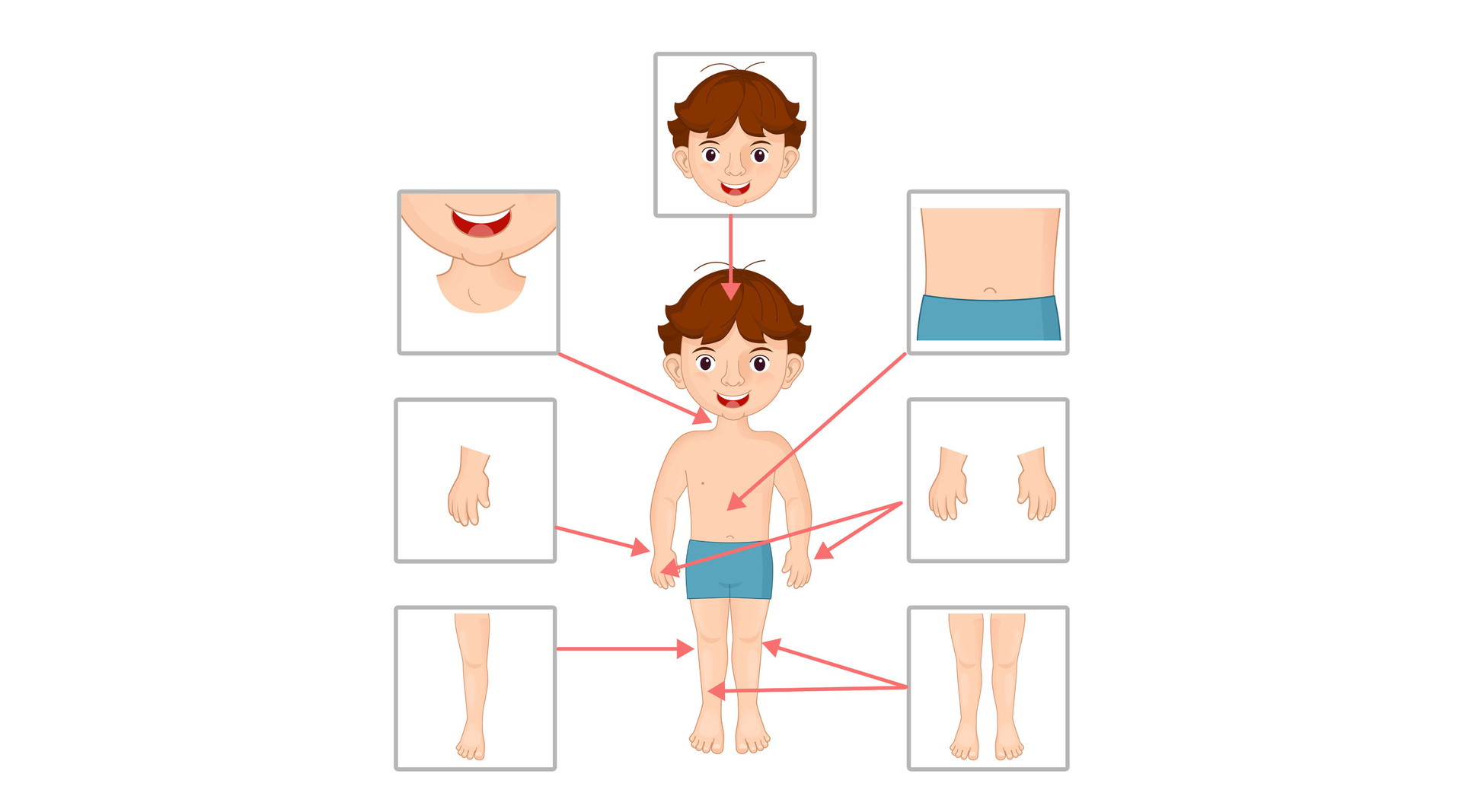 Na ilustracji znajdują się części ciała.