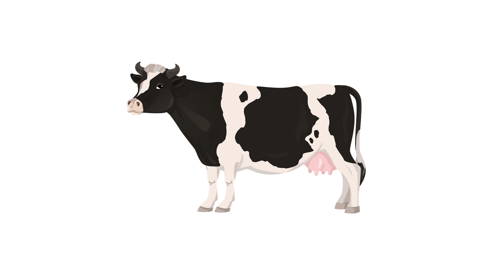 Ilustracja przedstawia krowę.