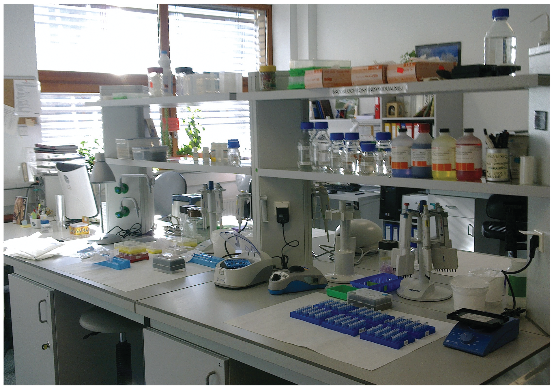 Fotografia przedstawia wnętrze laboratorium. Na białych stolikach stoją różne urządzenia badawcze, większość w kolorze szafirowym i białym. Na półkach nad nimi umieszczono liczne kolorowe pojemniki z substancjami chemicznymi. Bakterie wykorzystuje się w badaniach genetycznych.