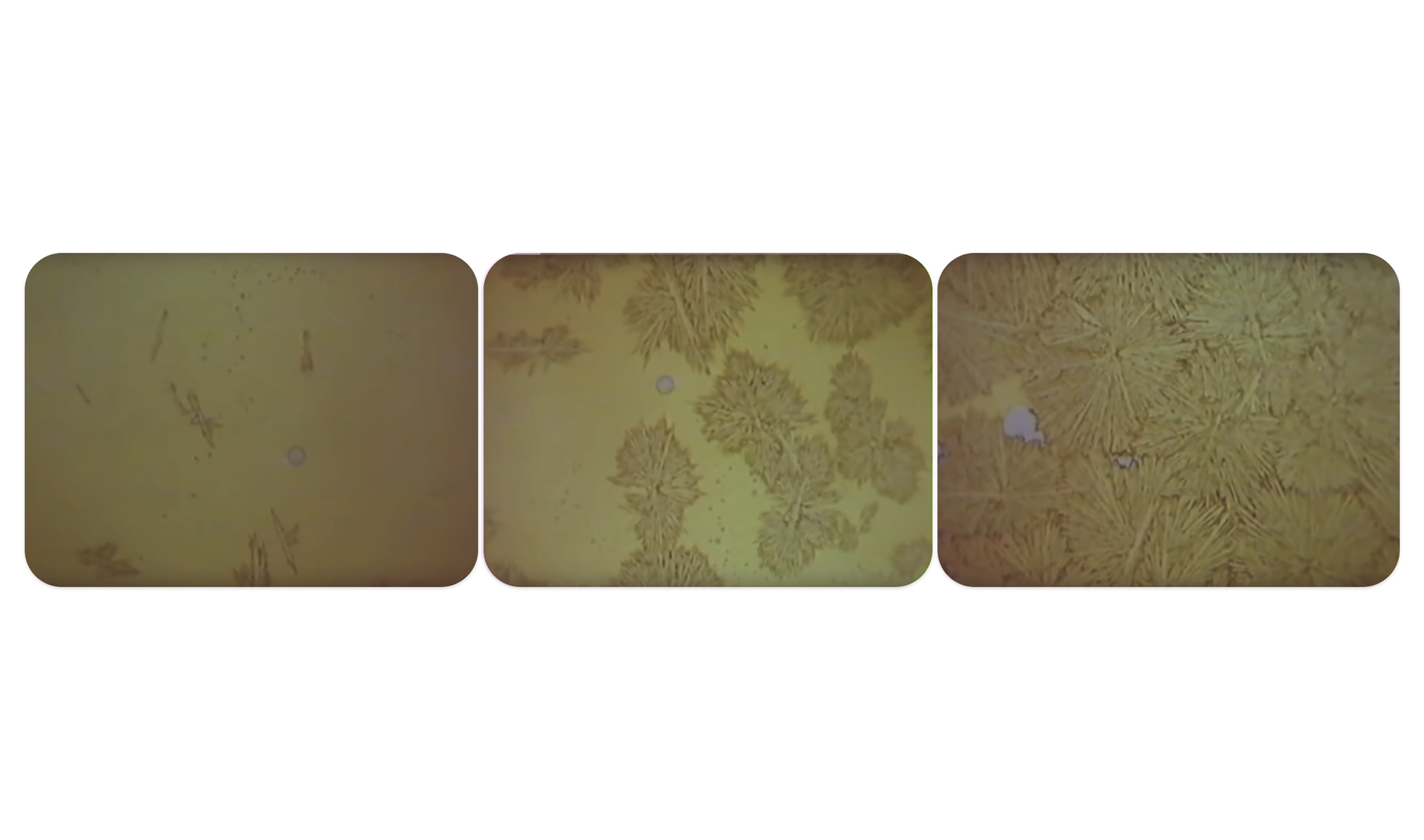 Ilustracja przedstawia obraz krzepnięcie ciekłego metalu jest to obraz zarejestrowany na żywo. Widać jak kryształy napotykają na siebie i tworzy się struktura zbudowana z wielu kryształów (ziaren). Ukazane są 3 obrazy pierwszy od lewej przed napotkaniem się kryształów, drugi gdy kryształy się napotykają i trzeci stworzona struktura zbudowana z wielu kryształów.