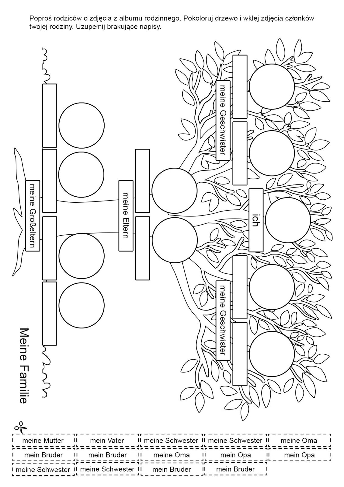 Ilustracja przedstawia schemat drzewa genealogicznego 
