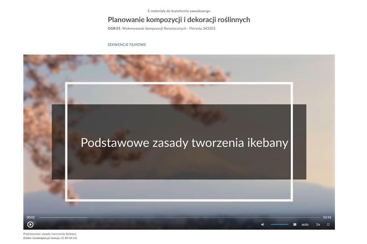 Grafika przedstawia wygląd ekranu początkowego filmu. Znajduje się na nim plansza tytułowa. Jest to grafika przedstawiająca górski krajobraz, na której tle umieszczono tytuł filmu: Podstawowe zasady tworzenia ikebany. W lewym dolnym rogu ekranu filmu umieszczony jest przycisk służący do odtwarzania i zatrzymywania filmu. W prawym dolnym rogu ekranu umieszczono szereg różnych przycisków. Odpowiedzialne są one między innymi za uruchamianie napisów, zmianę głośności i zmianę szybkości odtwarzania.