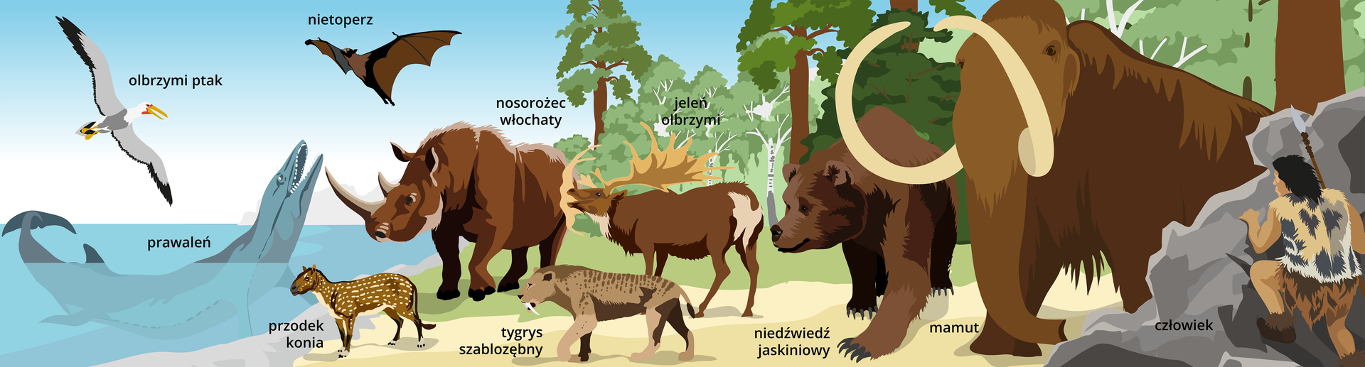Ilustracja przedstawia erę ssaków i ptaków. Widoczny jest przybrzeżny fragment morza, plaża oraz las. W wodzie widać prawalenia. Jest to duży ssak o opływowym ciele. Posiada szeroki uzębiony pysk. Widoczne są też płetwy. W powietrzu widać olbrzymiego ptaka przypominającego mewę. Obok lata brązowy nietoperz. Na lądzie widać dużego nosorożca włochatego. Ma on brązowy kolor. Przed nim stoi przodek konia, który posiada cętkowane ciało, cztery kończyny zakończone palcami oraz krótki pysk. Nie posiada grzywy. Obok stoi tygrys szablozębny. Posiada on długie górne kły wystające poniżej pyska. Za nim stoi jeleń olbrzymi. Ma brązową sierść na całym ciele oprócz zadu i szyi, tam sierść jest jasna. Na głowie widać duże łopatowate poroże. Za nim stoi niedźwiedź jaskiniowy. To duży brązowy niedźwiedź o długich pazurach. Przy niedźwiedziu stoi mamut. Do duży owłosiony słoń. Posiada długą trąbę i wygięte w górę kły. Obok mamuta widać skałę. Chowa się za nią człowiek ubrany w skóry zwierząt.