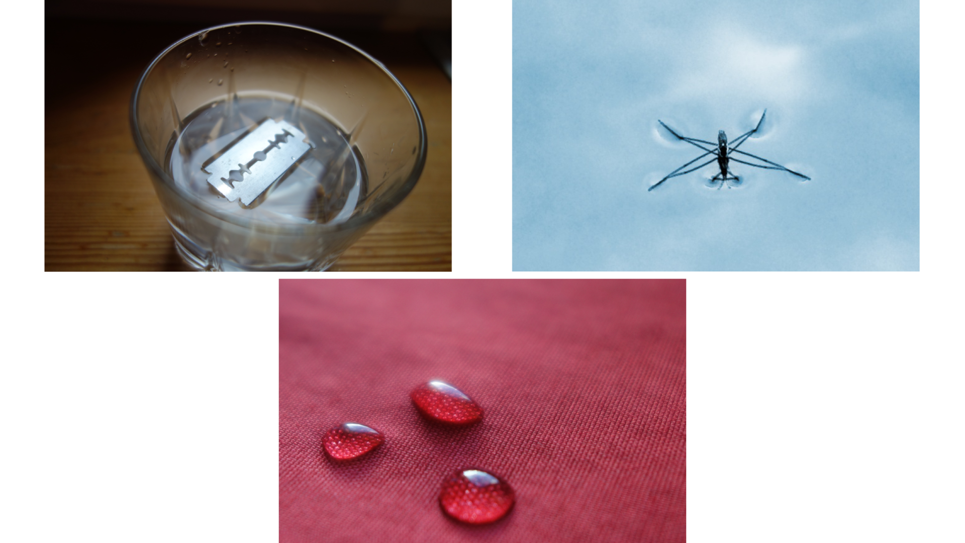 Rysunek przedstawia trzy zdjęcia obrazujące zjawisko fizyczne określane jako napięcie powierzchniowe. Zdjęcie szklanki z wodą, na powierzchni której pływa żyletka. Zdjęcie nartnika (owad z czterema długimi odnóżami) znajdującego się na powierzchni wody. Zdjęcie trzech kropel wody na powierzchni materiału, w który nie wsiąkają cząsteczki wody.