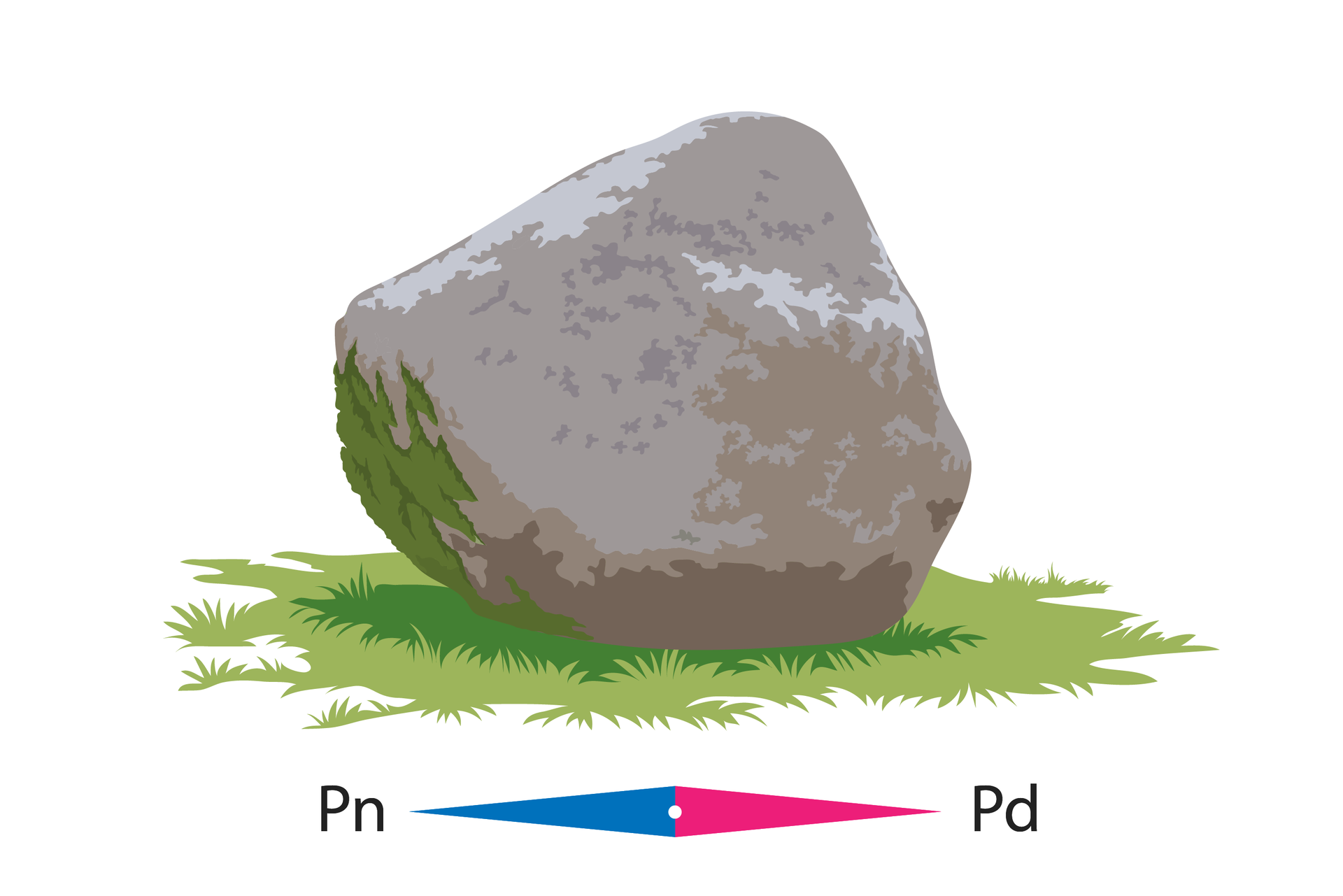 Na białym tle widoczny jest szary, duży głaz, którego strona północna jest porośnięta zielonym mchem. Na spodzie ilustracji widnieją wskazane kierunki północy po stronie lewej i południa po stronie prawej.