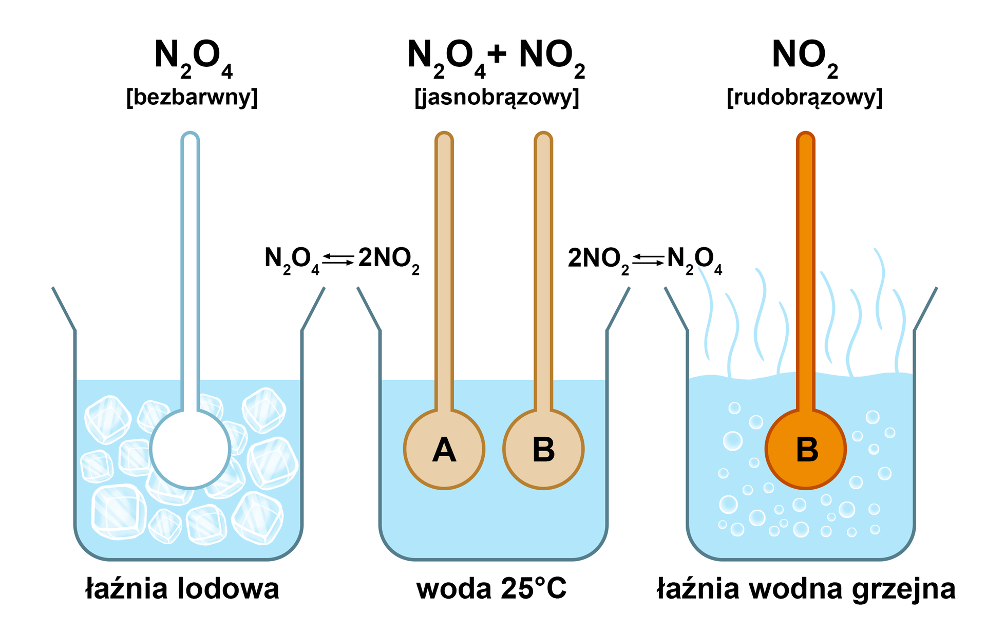 Na ilustracji są trzy naczynia. W pierwszym w łaźni lodowej (w naczyniu jest woda z kostkami lodu) jest bezbarwny N 2 O 4 . W dugim naczyniu jest woda o temperaturze 25 stopni Celsjusza. W wodzie znajdują się jasnobrązowy N 2 O 4 + N O 2 oznaczone jako A i B. W trzecim naczyniu w łaźni wodnej grzejnej (w wodzie są bąbelki, woda paruje) jest rudobrązowy N O 2 oznaczony jako B. Pomiędzy pierwszym i drugim naczyniem jest równanie: N 2 O 4 ⇋ 2 N O 2 . Pomiędzy drugim i trzecim naczyniem jest zapis: 2 N O 2 ⇋ N 2 O 4 .