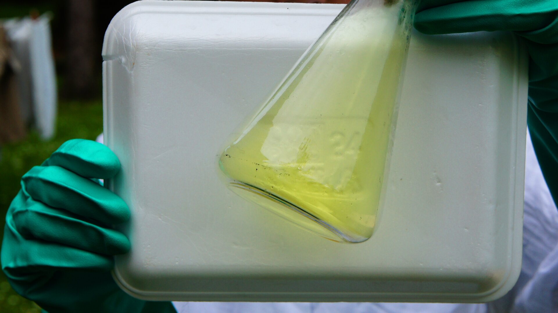 Zdjęcie przedstawia szklaną kolbę stożkową wypełnioną żółtym gazem, osoba trzymająca ją ma na dłoniach zielone rękawice ochronne.
