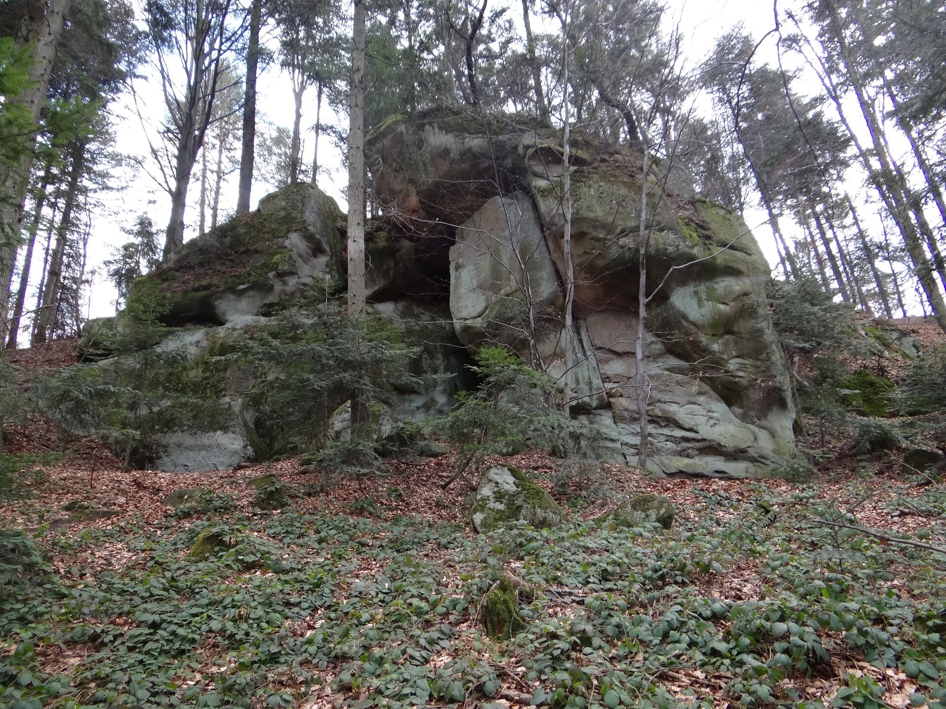 Na zdjęciu znajdują się bloki skalne ułożone w kształt przypominający stożek. Skały porośnięte są gdzieniegdzie drzewami. Przed nimi ziemia jest pokryta suchymi liśćmi, na których rozrósł się zielony bluscz.