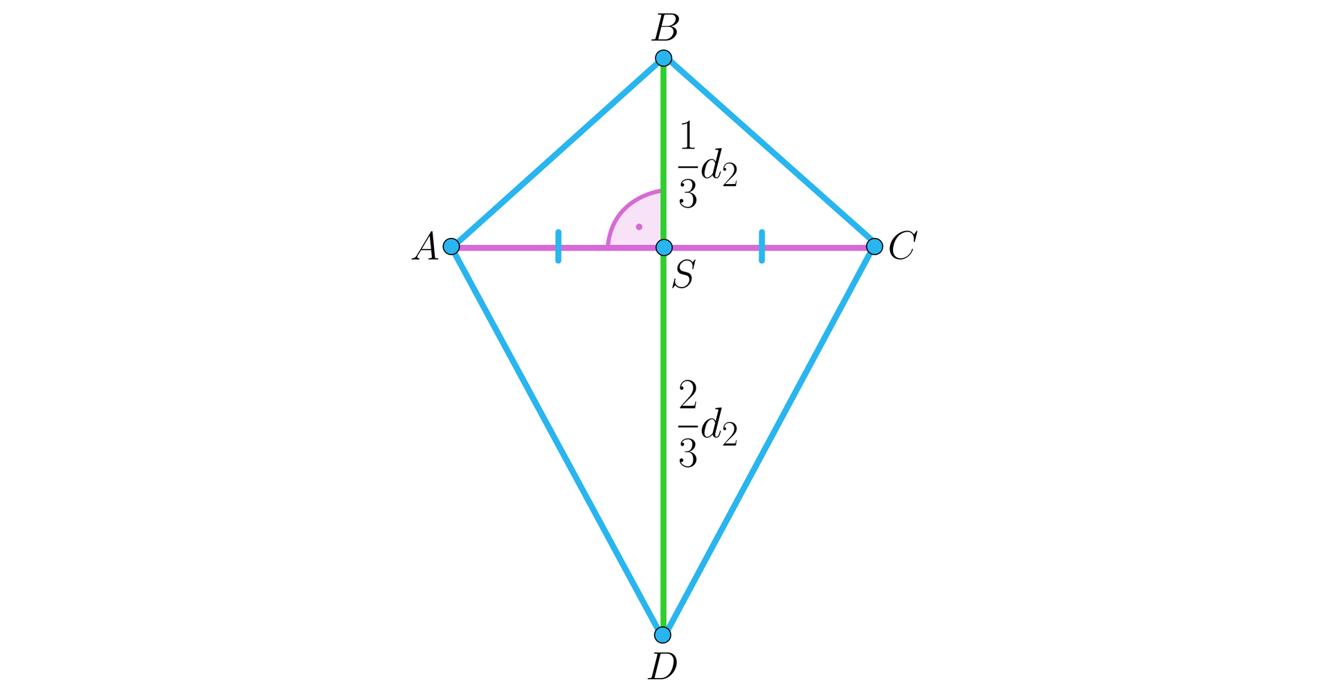 Na ilustracji przedstawiono deltoid ABCD. Zaznaczono przekątne AC i BD. Przekątna BD jest dwusieczną kątów leżących przy wierzchołkach, które ona łączy. Przekątna AC przecina przekątną BD w punkcie S i pod kątem prostym. Punkt S dzieli przekątną AC na dwie równe części, natomiast przekątną BD w stosunku jeden do trzech.