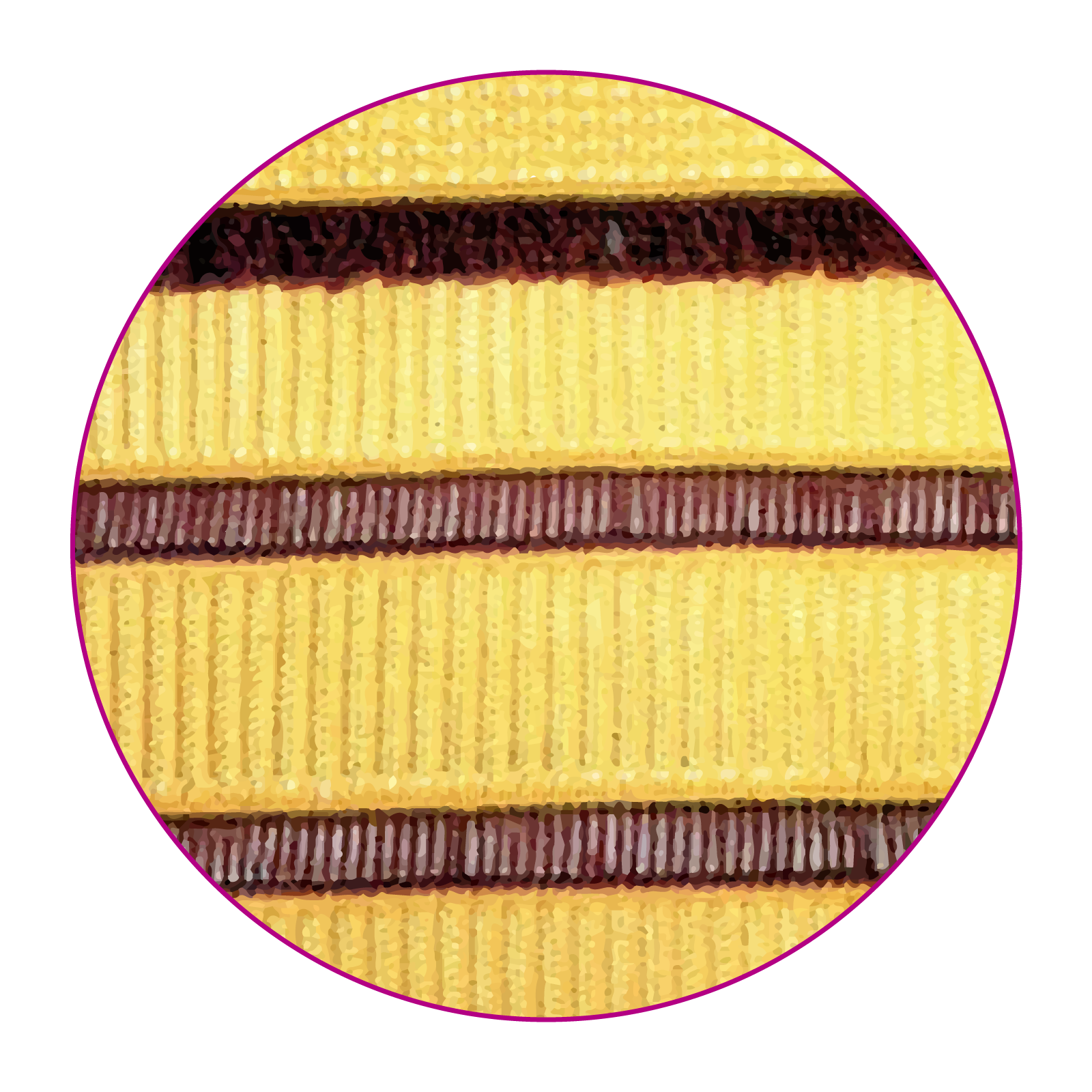 Zdjęcie przedstawia zbliżenie na żółtą dzianinę przedzieloną poziomo brązowymi pasami frędzli.