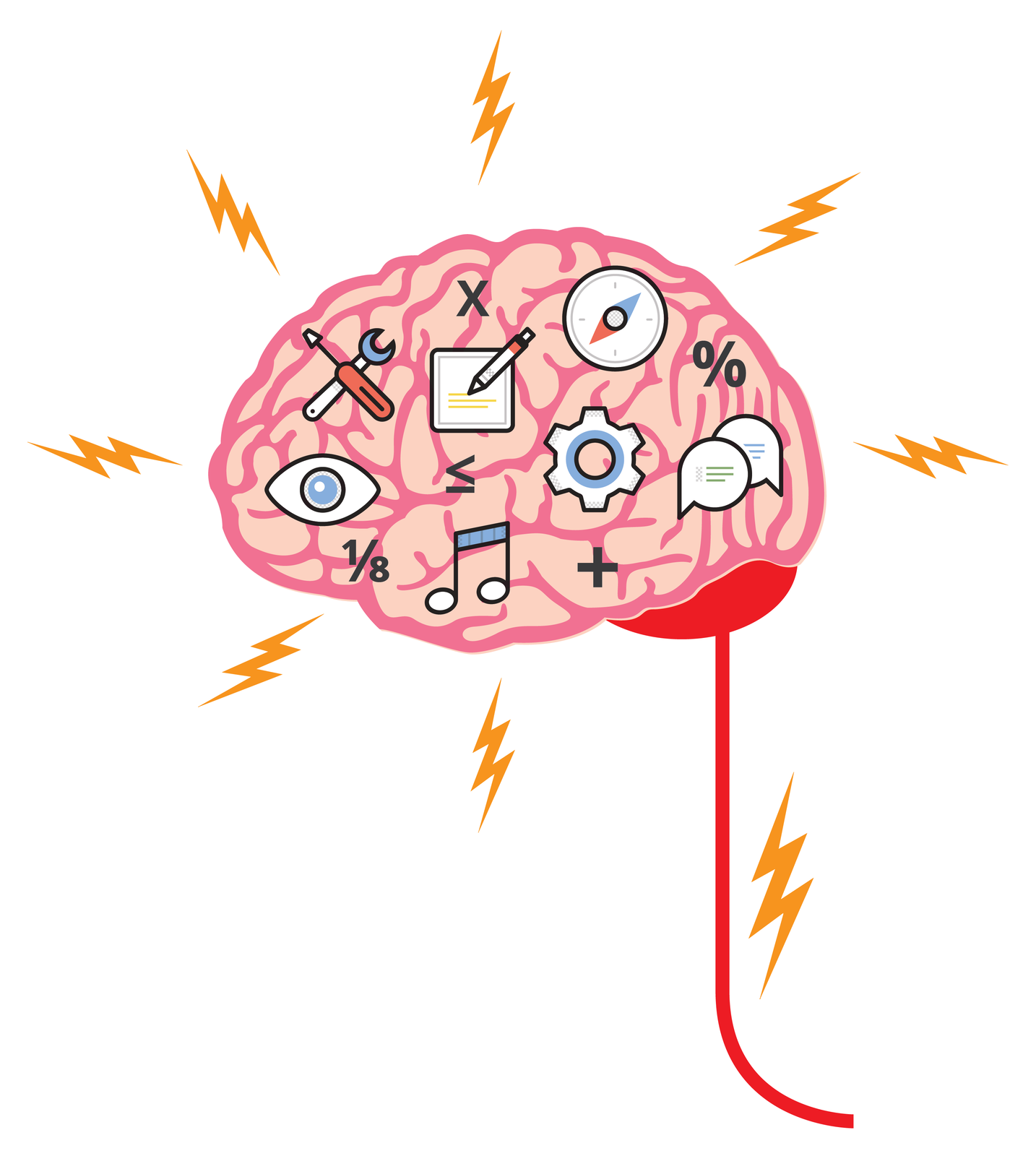 Ilustracja przedstawia rysunek mózgowia człowieka – różowy, pofałdowany mózg, czerwony móżdżek i wychodzący z niego rdzeń kręgowy. Wszystkie te organy znajdują się w górnej części głowy, zwanej czaszką. Żółte błyskawice dookoła symbolizują impulsy nerwowe. Stale działają one na mózg, pobudzając go do pracy. Na powierzchni mózgu schematyczne rysunki przedstawiają różne aktywności jego obszarów. Okrągły kompas to wyczucie kierunku, dymki czatu to emocje i aktywność werbalna, koło zębate to działanie, nuta to muzyka, oko to zdolność analizowania i przetwarzania obrazów, narzędzia to zdolności manualne i umiejętność działania, kartka z długopisem to pisanie. Pomiędzy nimi widać również symbole matematyczne (znak plus, ułamek). Są to działania logiczne.