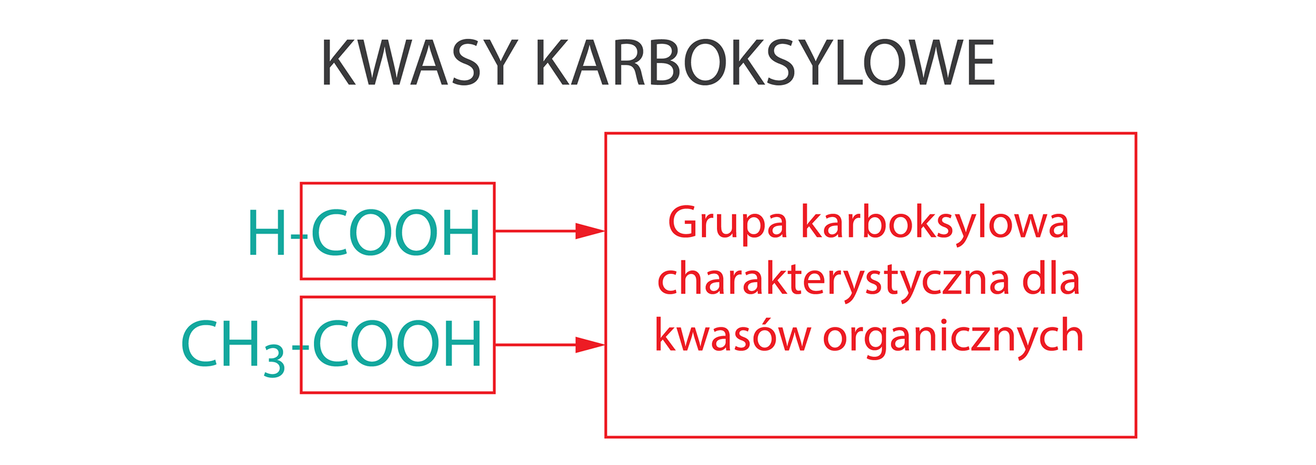 Na ilustracji przedstawione zostały wzory dwóch kwasów karboksylowych: &lt;math aria‑label="H wiązanie pojedyncze C O O H"&gt;H—COOH i &lt;math aria‑label="C H indeks dolny trzy koniec indeksu wiązanie pojedyncze C O O H"&gt;CH3-COOH wraz z zaznaczoną na czerwono grupą karboksylową &lt;math aria‑label="wiązanie pojedyncze C O O H"&gt;—COOH, charakterystyczną dla kwasów organicznych.