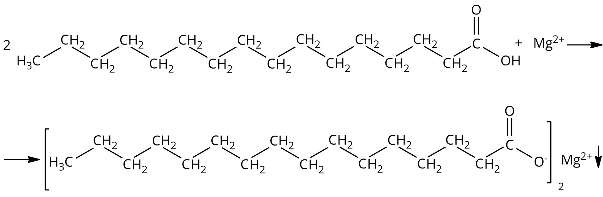 Ilustracja przedstawiająca równanie reakcji pomiędzy kwasem palmitynowym, to znaczy heksadekanowym a kationem magnezu. Dwie cząsteczki kwasu palmitynowego o strukturze grupa CH3 związana z łańcuchem węglowym utworzonym przez czternaście połączonych liniowo grup CH2, z których ostatnia związana jest z atomem węgla połączonym za pomocą wiązania podwójnego z atomem tlenu oraz za pomocą wiązania pojedynczego z grupą hydroksylową OH. Dodać kation magnezowy Mg2+. Strzałka w prawo, za strzałą palmitynian magnezu o strukturze złożonej z dwóch anionów palmitynianowych przedstawionych następująco, nawias kwadratowy, względem którego w indeksie dolnym znajduje się dwa, w nawiasie grupa CH3 związana z łańcuchem zbudowanym z liniowo połączonych czternastu grup CH2, z których ostatnia łączy się z atomem węgla związanym za pomocą wiązania podwójnego z atomem tlenu oraz za pomocą wiązania pojedynczego z atomem tlenu obdarzonym ładunkiem ujemnym oznaczonym jako minus. Za nawiasem kwadratowym kation Mg2+ oraz strzałka w dół świadcząca o wytrąceniu osadu.