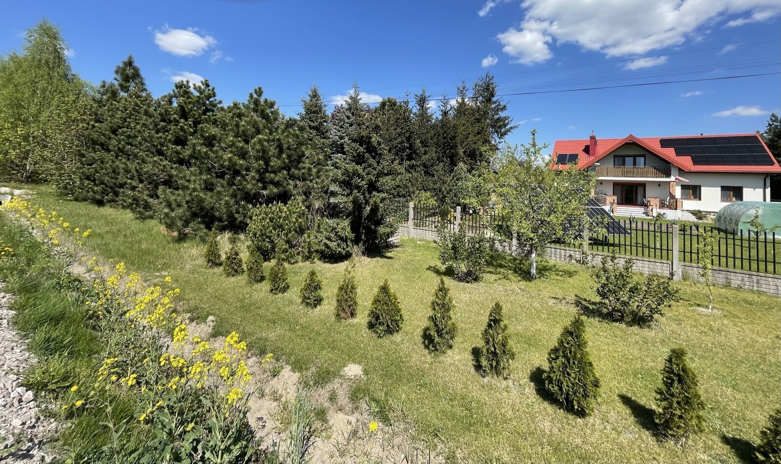 Na fotografii trawa, krzewy i drzewa, a dalej płot, ogród i niewielki dom jednorodzinny z panelami fotowoltaicznymi na dachu.