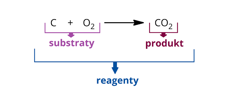 Na ilustracji ukazano następujący schemat: C, plus, O indeks dolny, dwa, koniec indeksu dolnego objęte fioletową ramką ze strzałką w dół, prowadzącą do fioletowego napisu: substraty. Dalej znajduje się czarna strzałka w prawo, a za nią: C O indeks dolny, dwa, koniec indeksu dolnego  objęte bordową ramką ze strzałką w dół, prowadzącą do bordowego napisu: produkt. Całość objęta jest od dołu niebieską ramką ze strzałką w dół, prowadzącą do niebieskiego napisu: reagenty. 