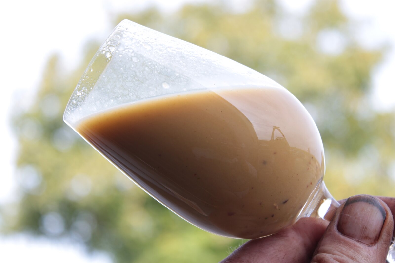 Sok wytłoczony z winogron