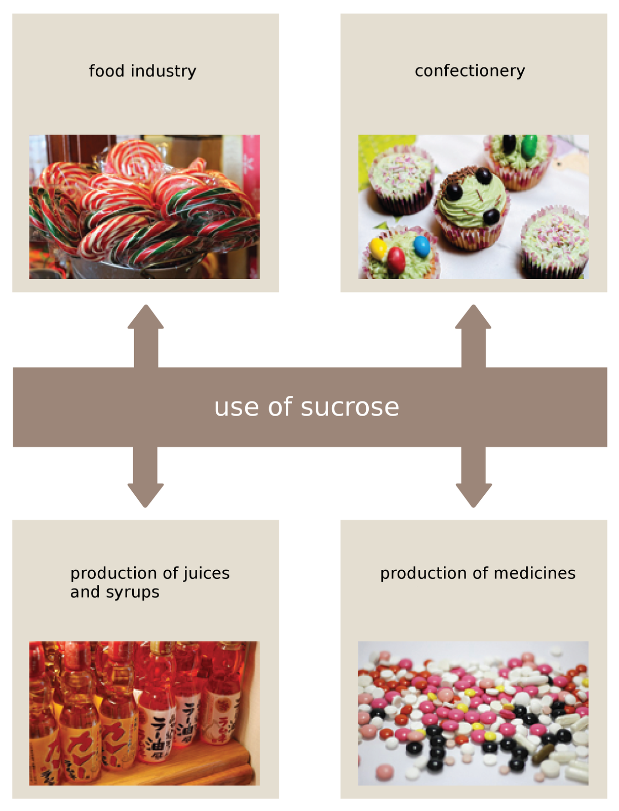 Ilustracja przedstawia zastosowania sacharozy. Przemysł spożywczy - food industry, słodycze - confectionery, soki i syropy - products of juices and syrups, lekarstwa - production of medicine.