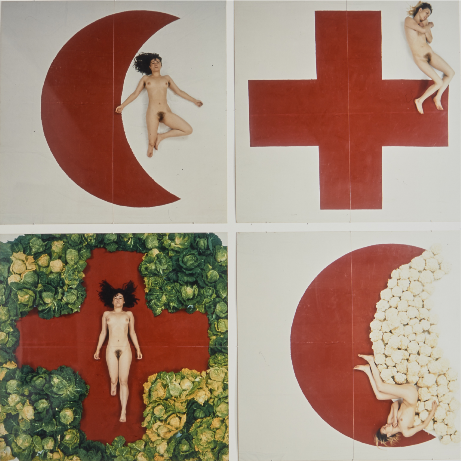 Praca przedstawia szachownicę tj. składa się z dwóch rzędów symboli ułożonych naprzemiennie. W lewym górnym rogu widoczny jest czerwony półksiężyc na kremowym tle. Obok niego, trzymając dłoń w obrębie koloru czerwonego, leży młoda, naga kobieta. Jej kolana są zgięte, a ręce ułożone daleko od ciała. Kobieta jest szczupła, a jej włosy są czarne. W prawym górnym rogu widoczny jest czerwony krzyż na beżowym tle. Na jego prawym ramieniu oparte są stopy młodej, nagiej kobiety, która obejmuje swoją klatkę piersiową ramionami. Jej twarz, ułożona jak do snu - na dłoni, widoczna jest bokiem, a włosy są spięte. U dołu, po lewej stronie, znajduje się czerwony krzyż otoczony powierzchnią porośniętą kapustą włoską oraz leżącą w centrum krzyża nagą kobietą, uchwyconą wcześniej przy półksiężycu. Jej dłonie ułożone są wzdłuż ciała, a włosy odgarnięte do tyłu. Prawe kolano kobiety jest zgięte. Prawy dolny symbol to czerwony półksiężyc, który został uchwycony w towarzystwie kalafiorów na kremowym tle. Przy złączeniu powierzchni półksiężyca z kalafiorami widoczna jest postać - młoda, naga kobieta, której kolana są zgięte, a prawa ręka przyciśnięta jest do ciała. Kobieta, przedstawiona wcześniej przy krzyżu ukazanym w prawym górnym rogu, leży na boku.