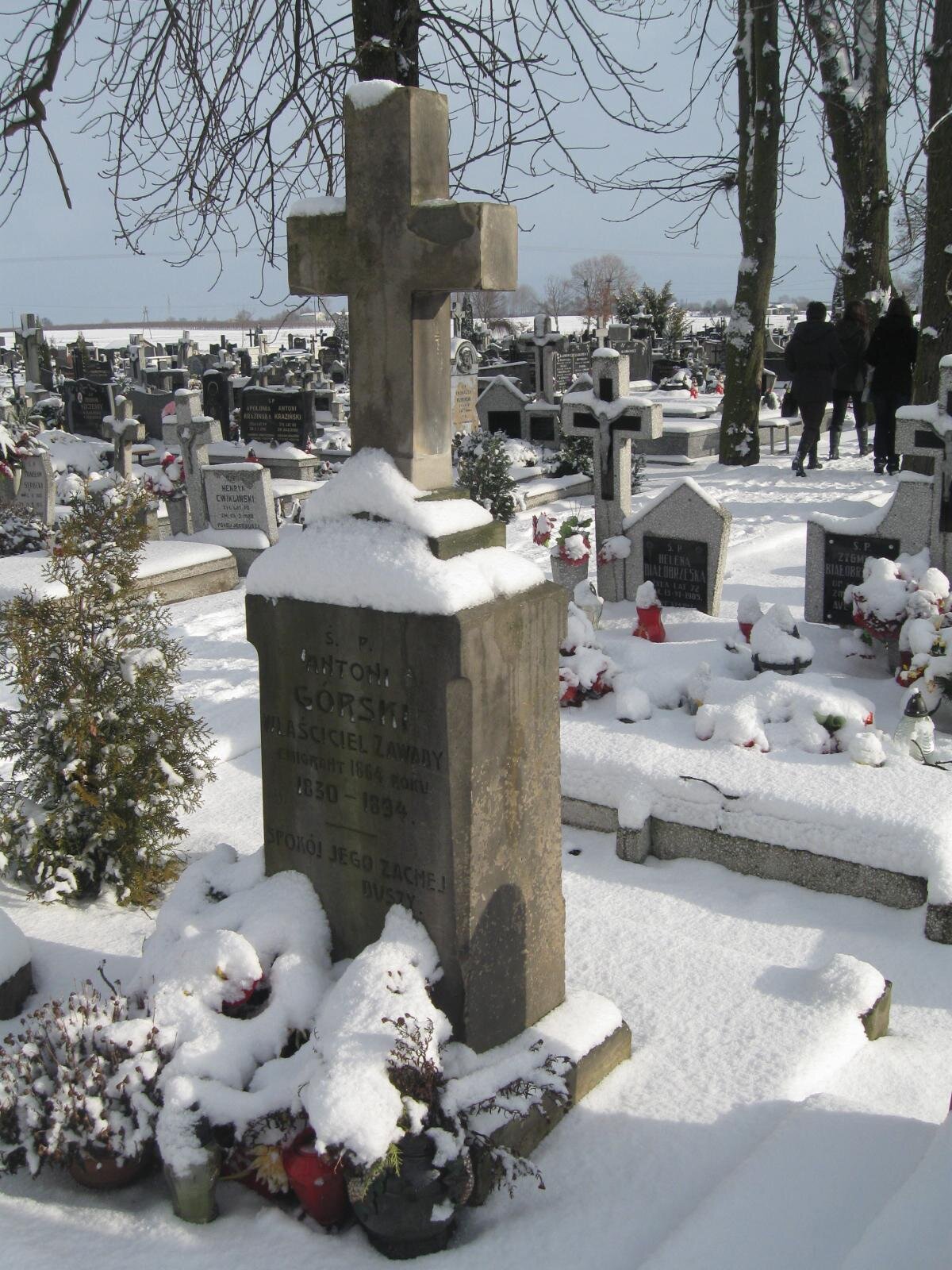 Zdjęcie przedstawia wysoki nagrobek zwieńczony krzyżem. Na pomniku wyryty został napis: "Antoni Górski, właściciel Zawary, 1830‑1894. Spokój jego zacnej duszy". W tle widoczne są współczesne pomniki. Nad cmentarzem zwisają bezlistne gałęzie. Cmentarz i nagrobki są przysłonięte grubą warstwą śniegu. W tle widoczne błękitne, bezchmurne niebo. Zdjęcie zostało wykonane w świetle dziennym.