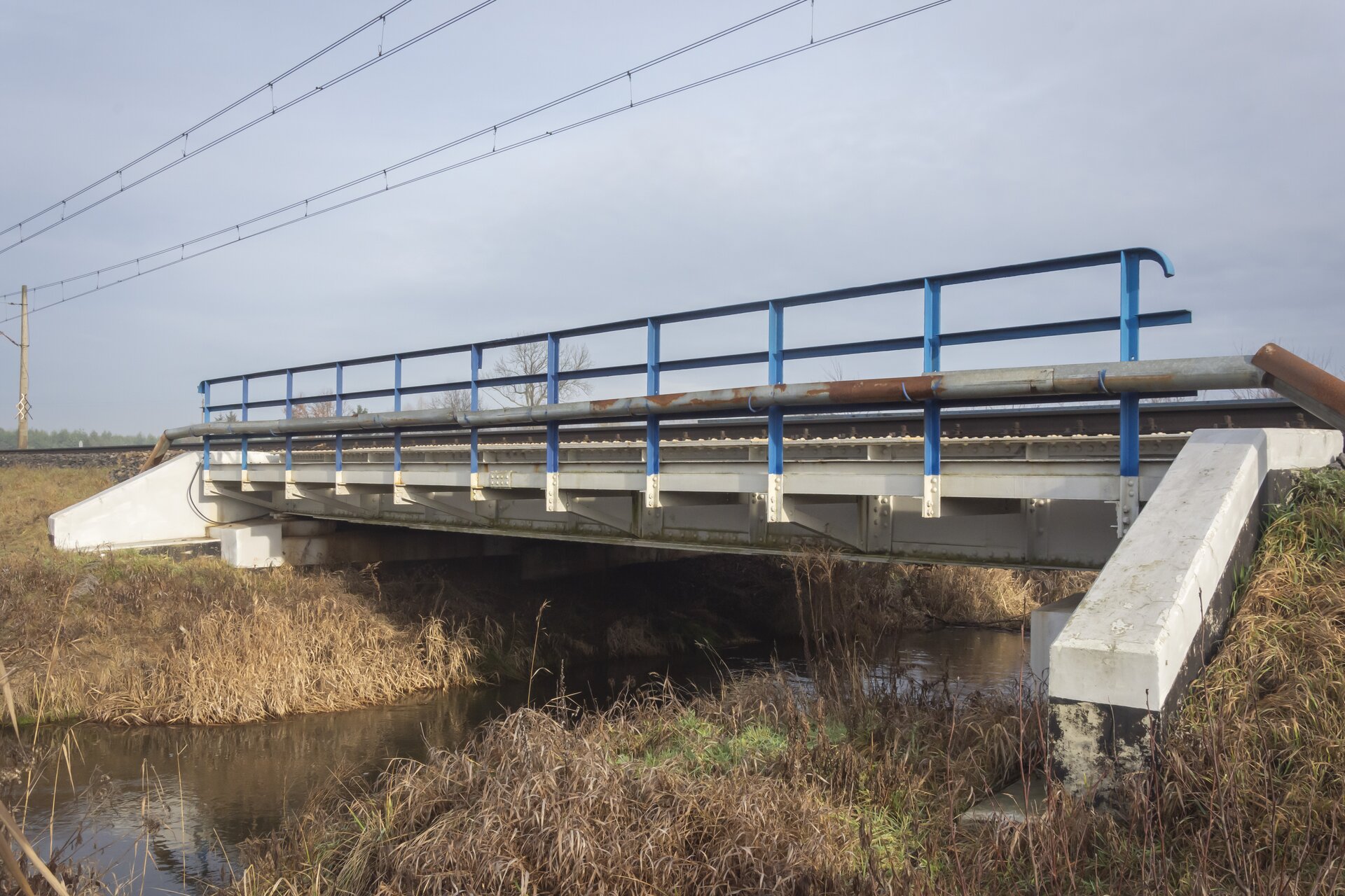 Ilustracja przedstawia most belkowy nad rzeką, którego konstrukcja składa się z dwóch belek połączonych za pomocą płatwi. Most, choć nie jest zbyt wysoki, rozciąga się nad rzeką. Na moście znajduje się niebieska barierka. Nad mostem widoczne są linie wysokiego napięcia. Oprócz tego można dostrzec roślinność oraz niebo. Most belkowy służy do przeprawy pociągu przez rzekę.