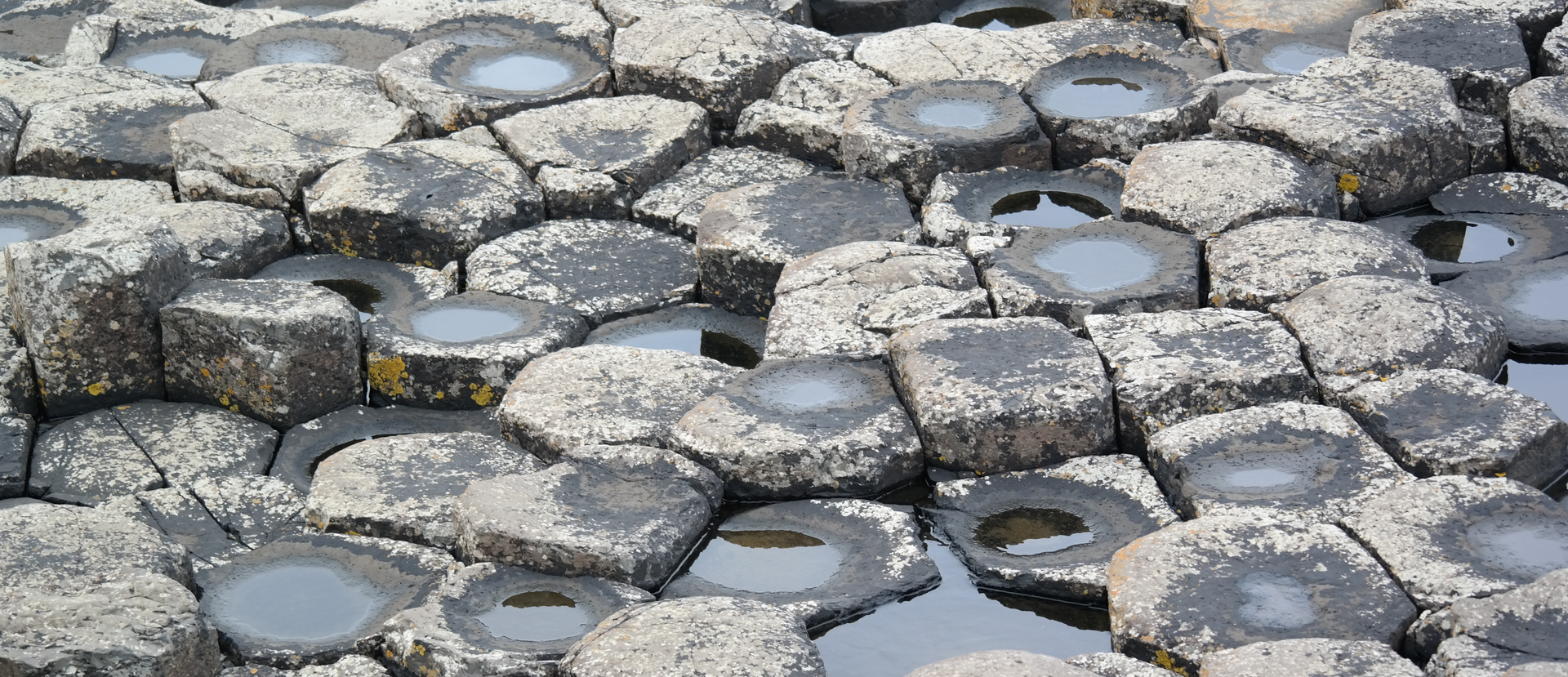 Zdjęcie przedstawia bazaltowe słupy. Mają one regularne kształty, na części z nich są kałuże, a część jest sucha.